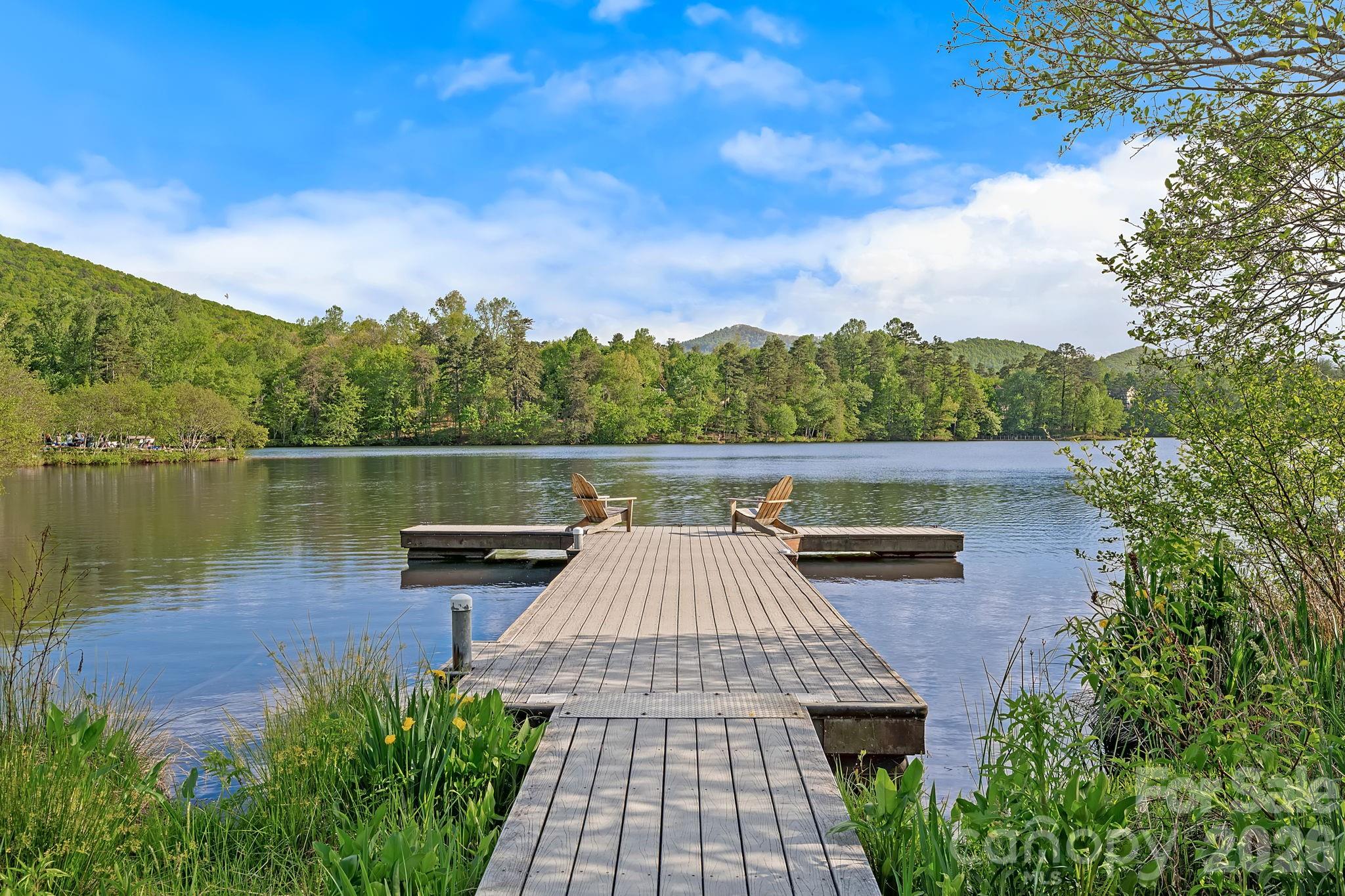 54 Mountain Drive — Biltmore Lake