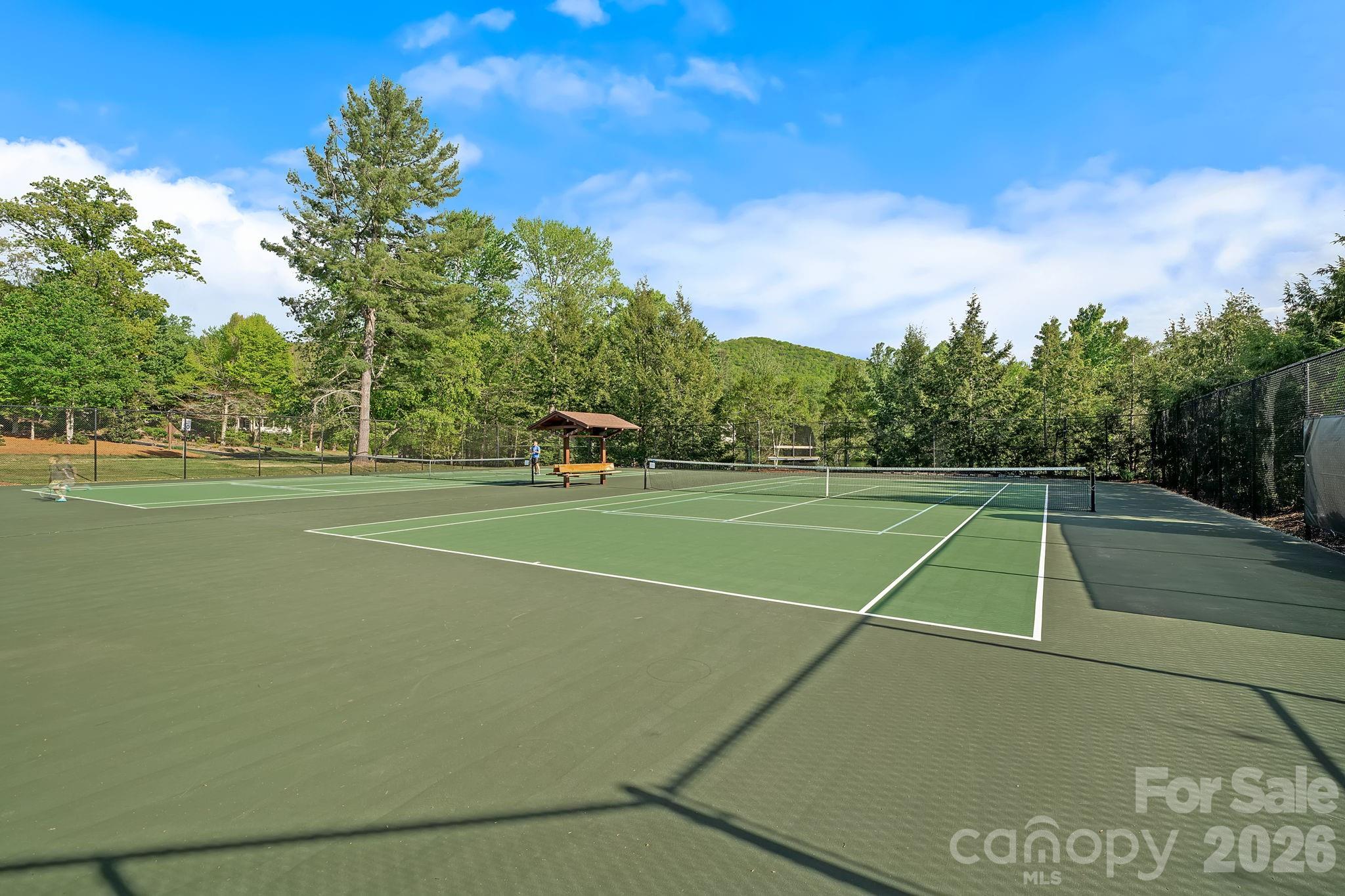 54 Mountain Drive — Biltmore Lake