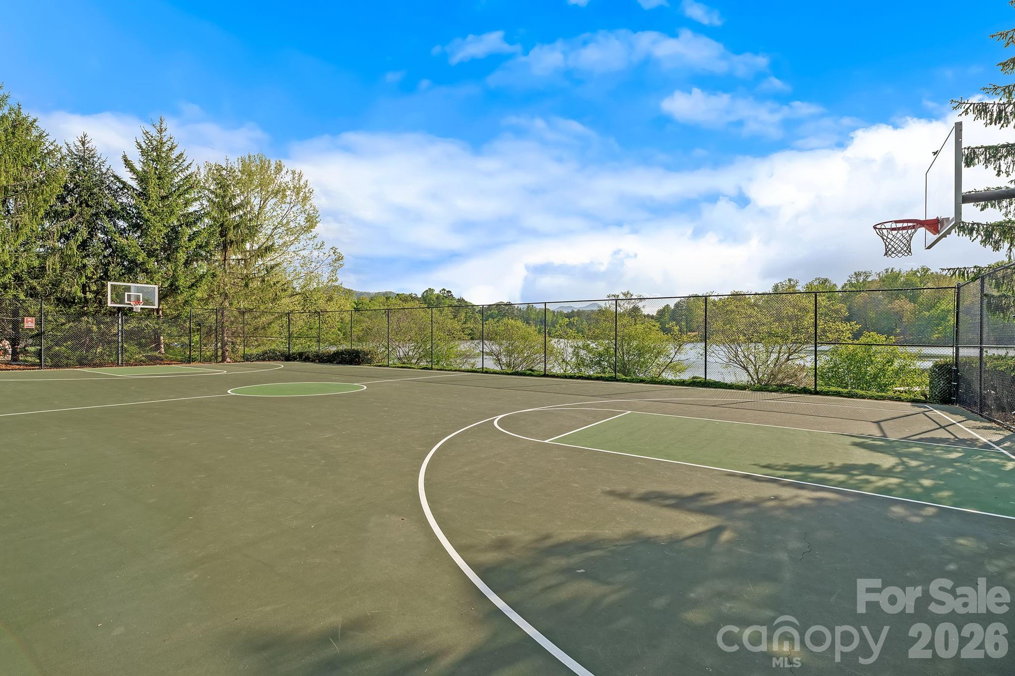 54 Mountain Drive — Biltmore Lake