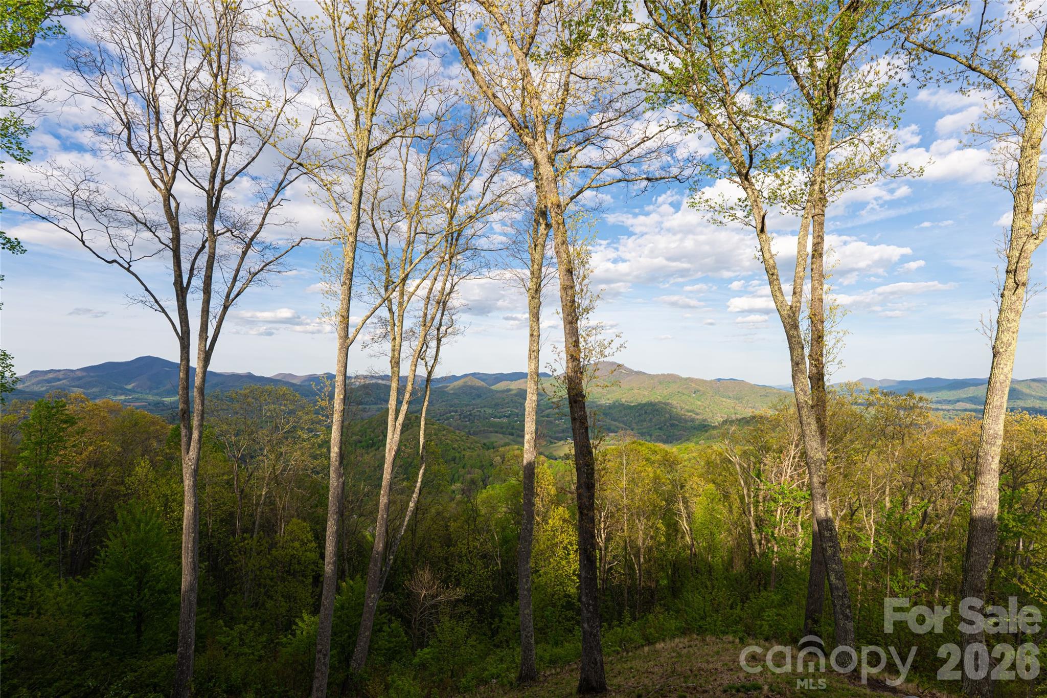 366 Signature Row Boulevard — Waynesville