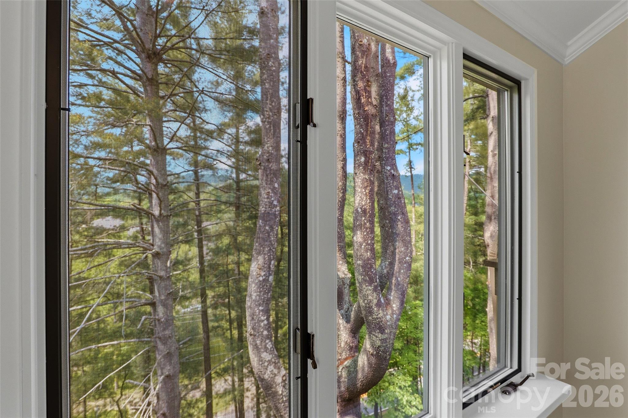 201 Timber Drive — Asheville