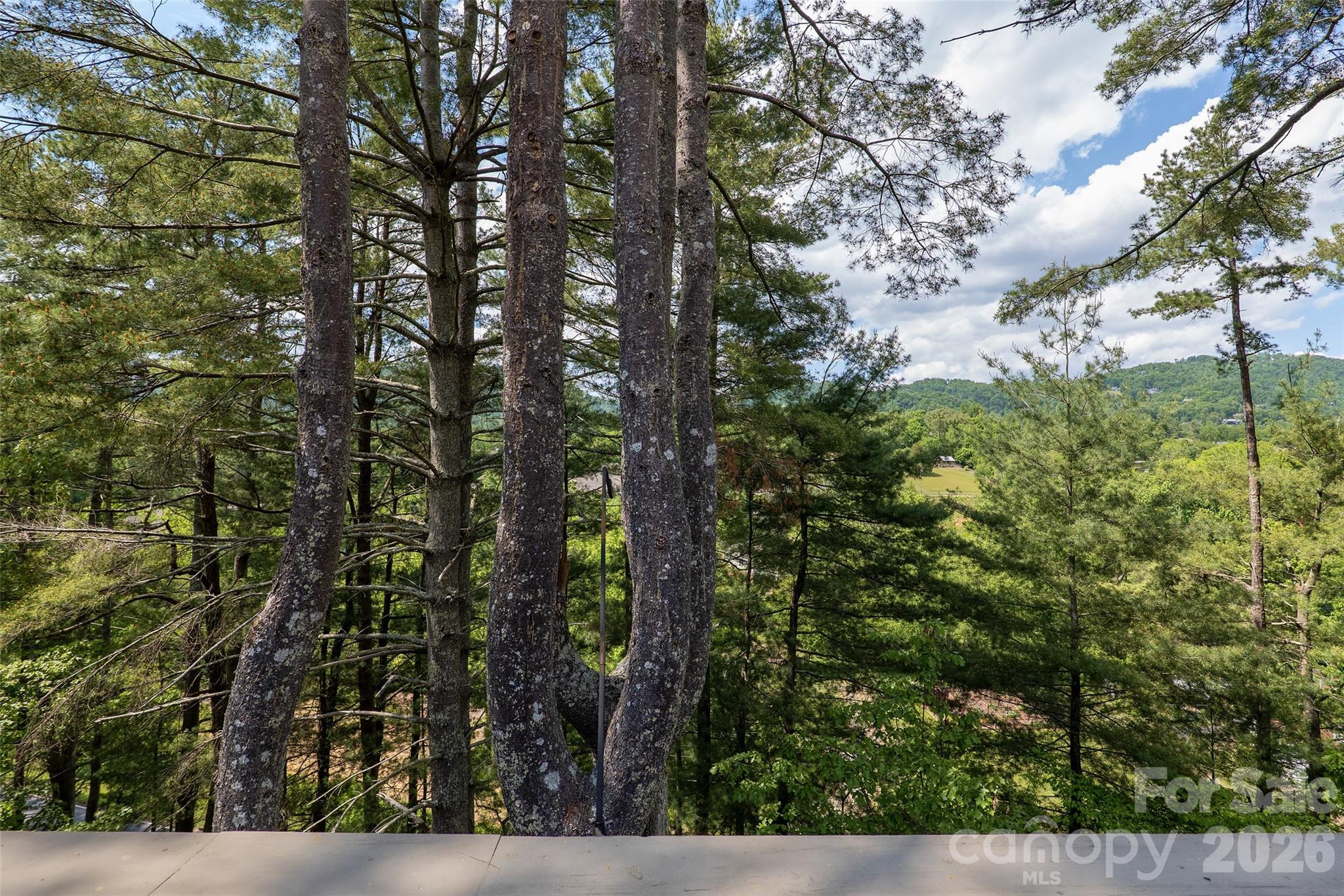 201 Timber Drive — Asheville