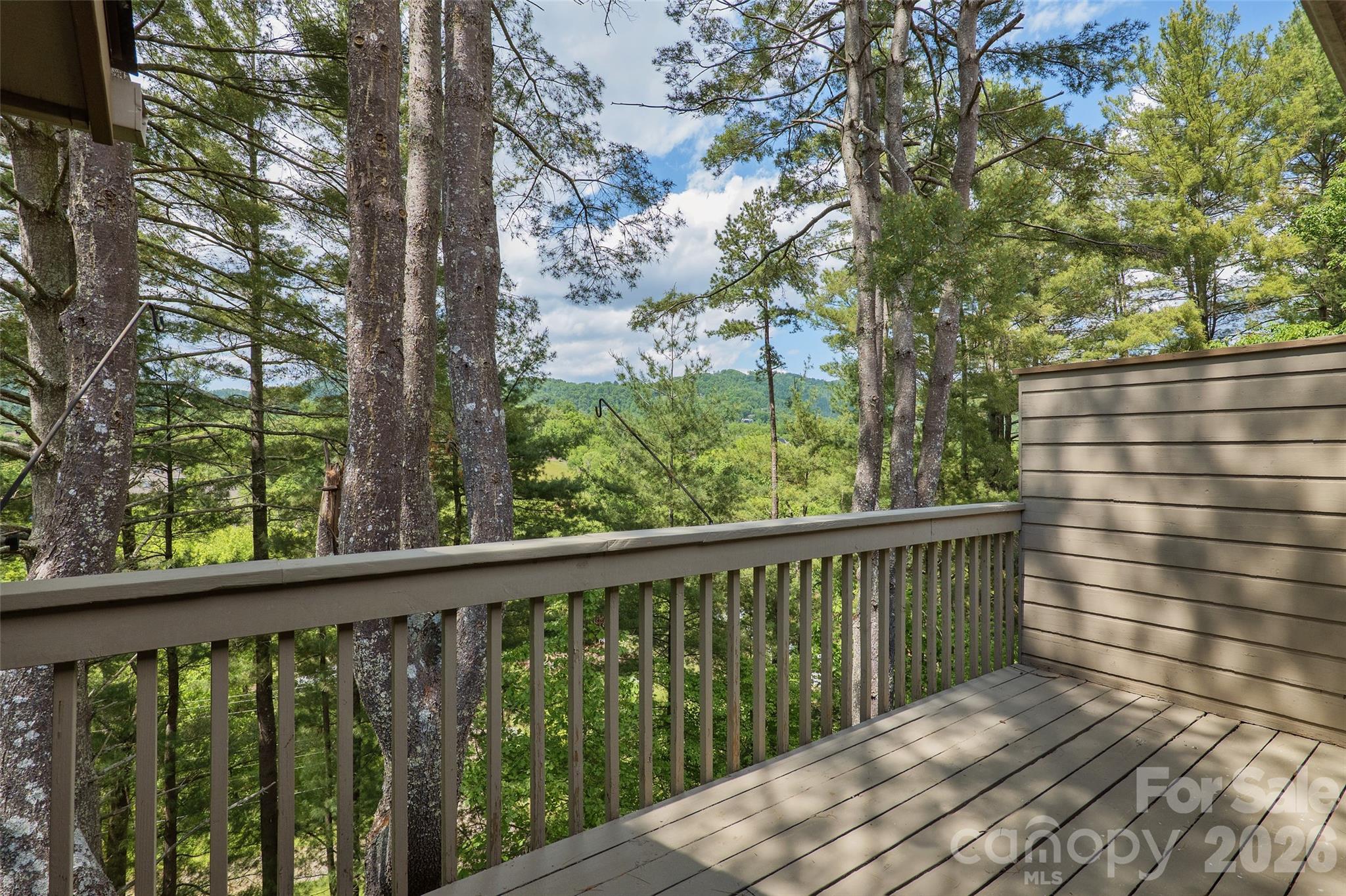 201 Timber Drive — Asheville