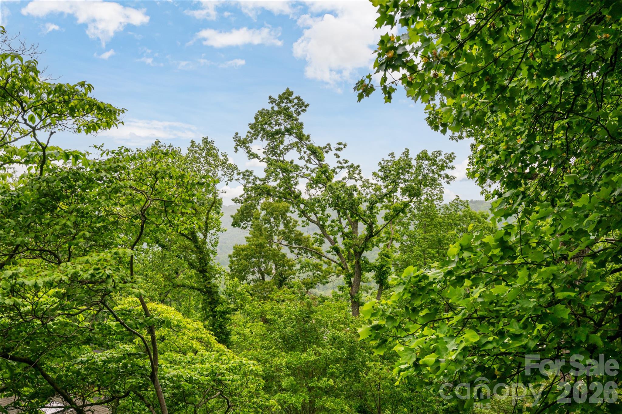 8 N Delano Road — Asheville