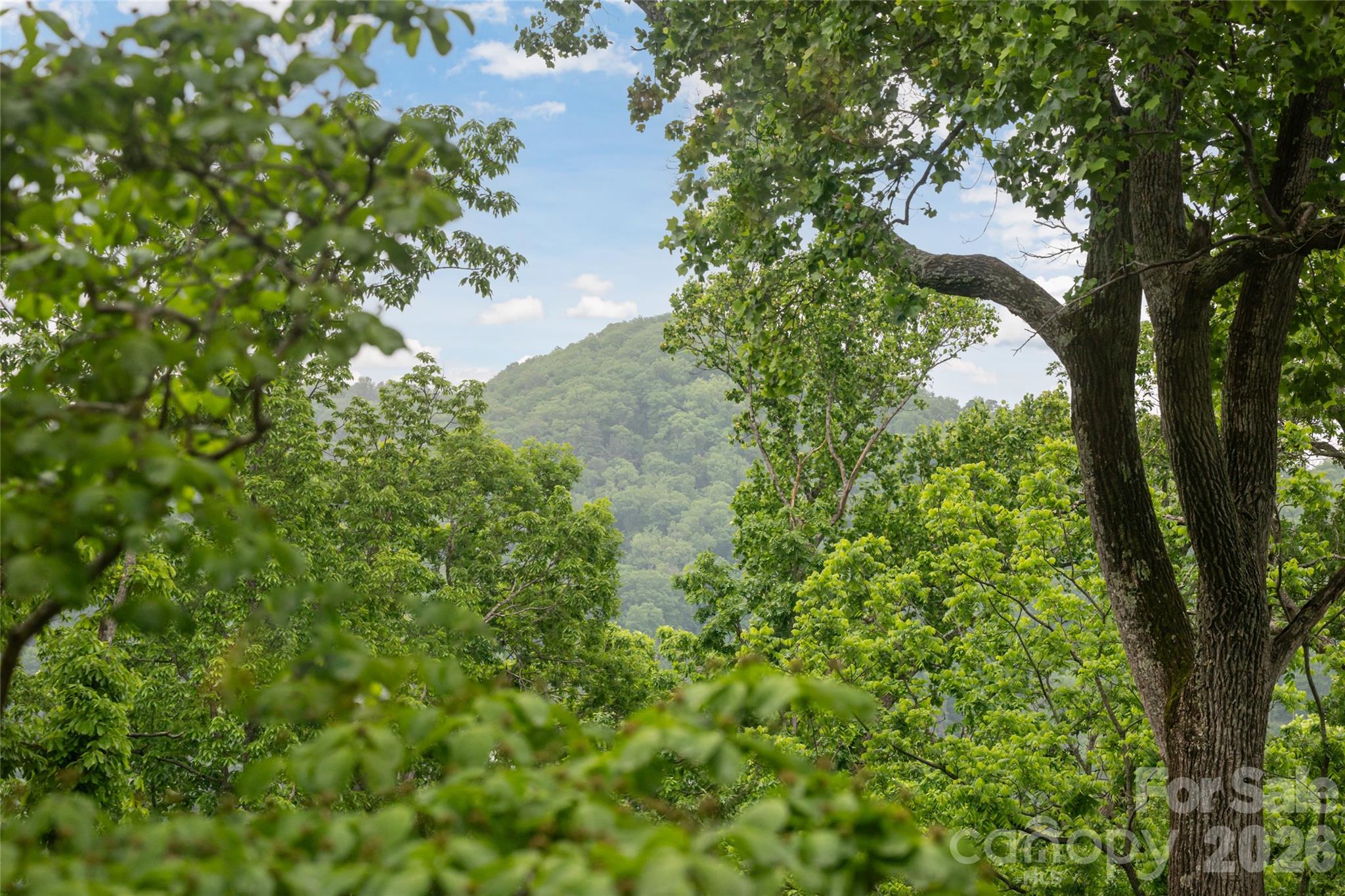 8 N Delano Road — Asheville