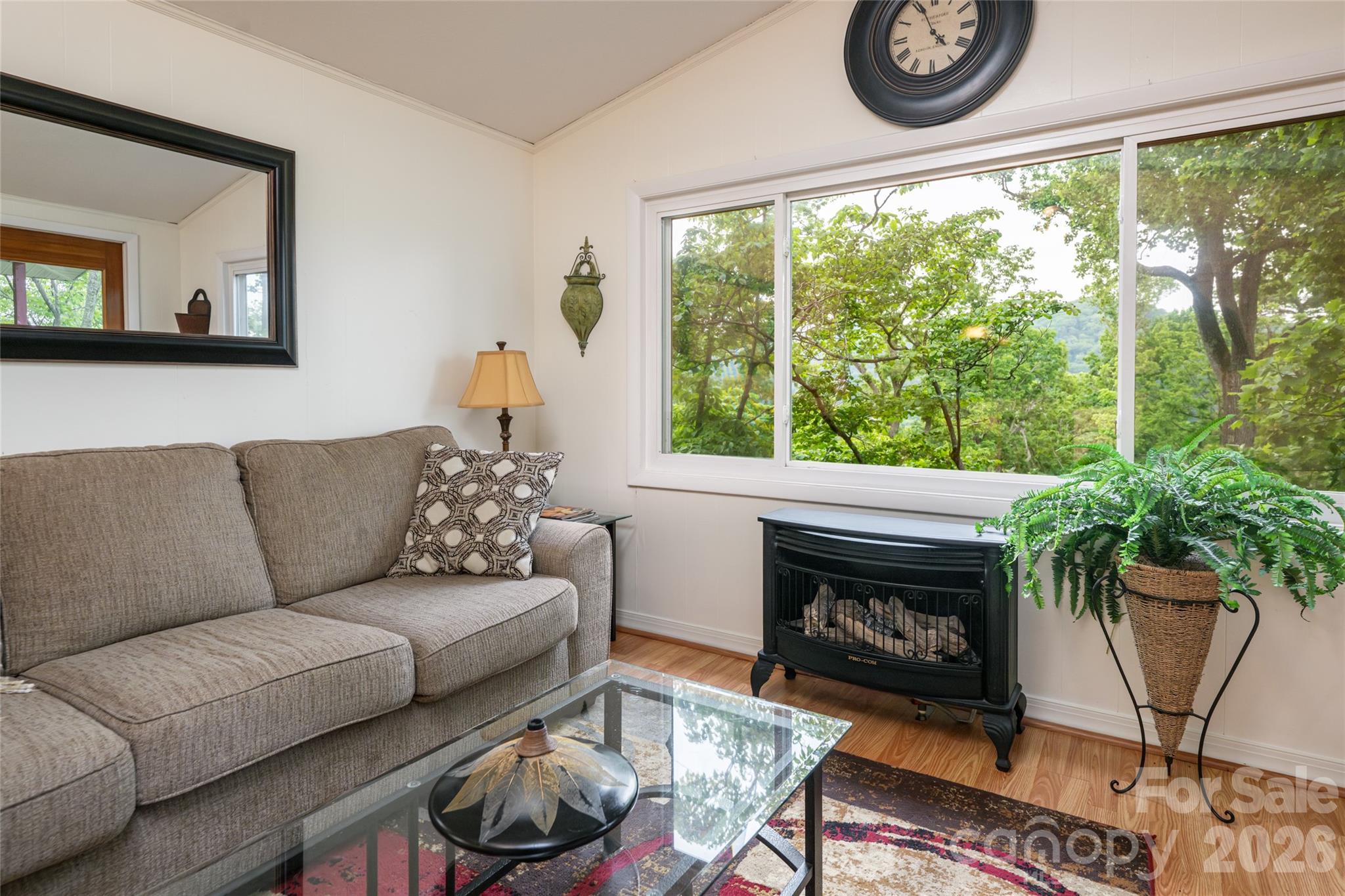 8 N Delano Road — Asheville