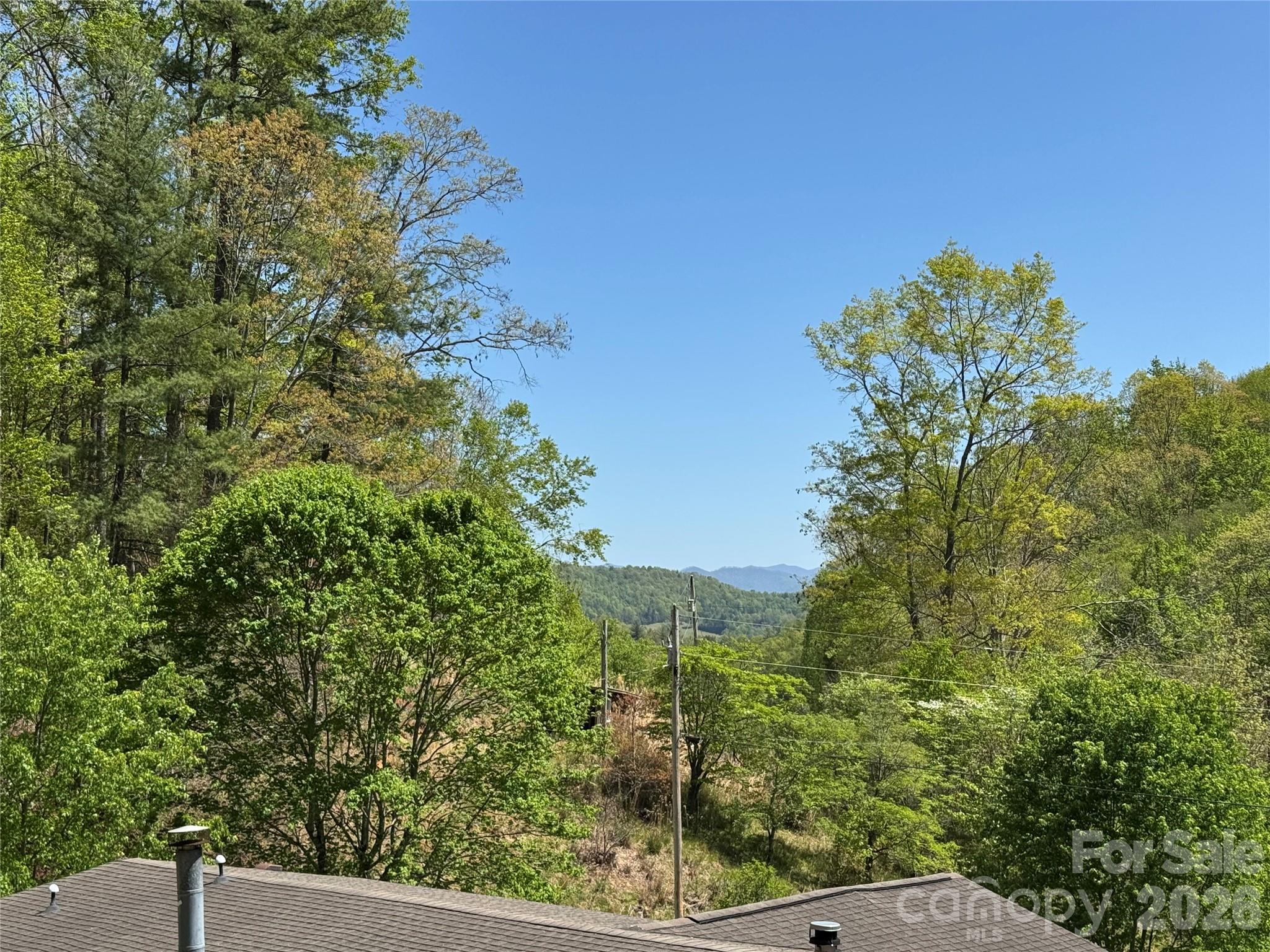 942 Fisher Branch Road — Marshall