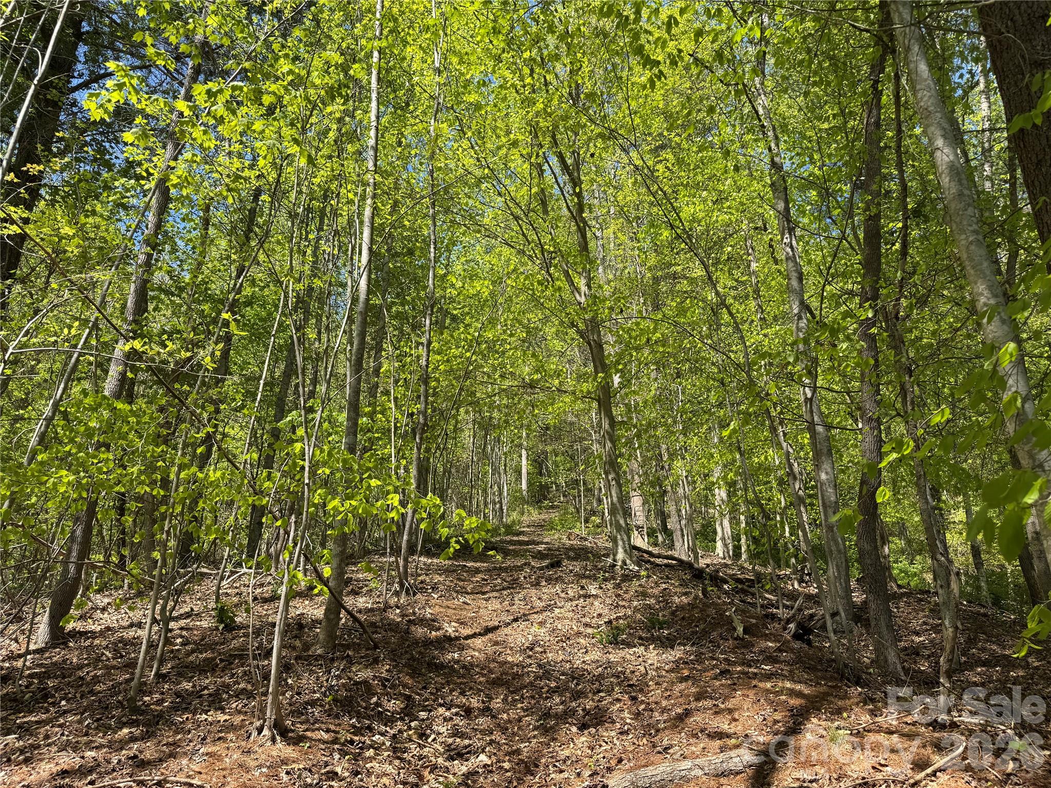 942 Fisher Branch Road — Marshall