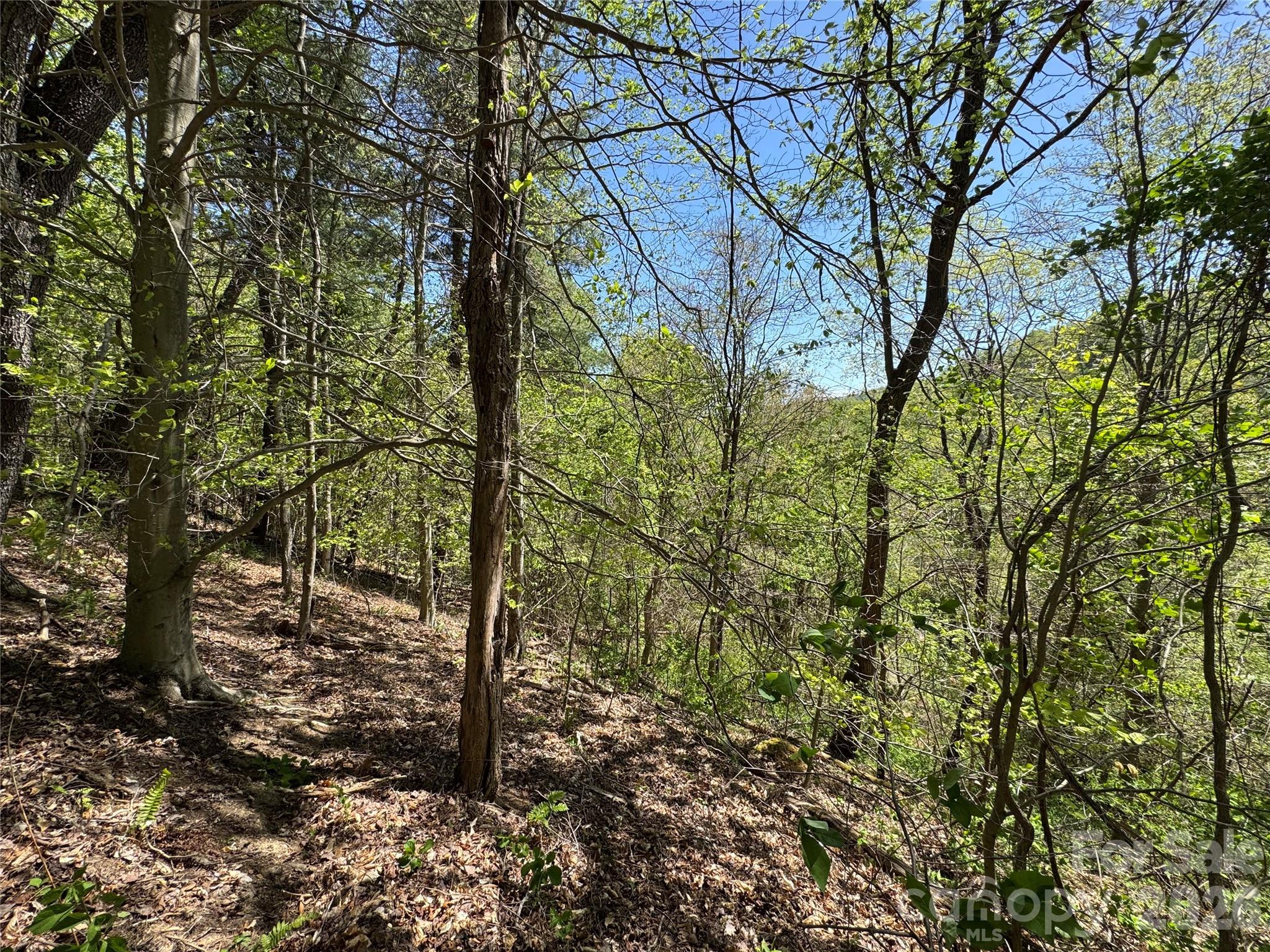 942 Fisher Branch Road — Marshall