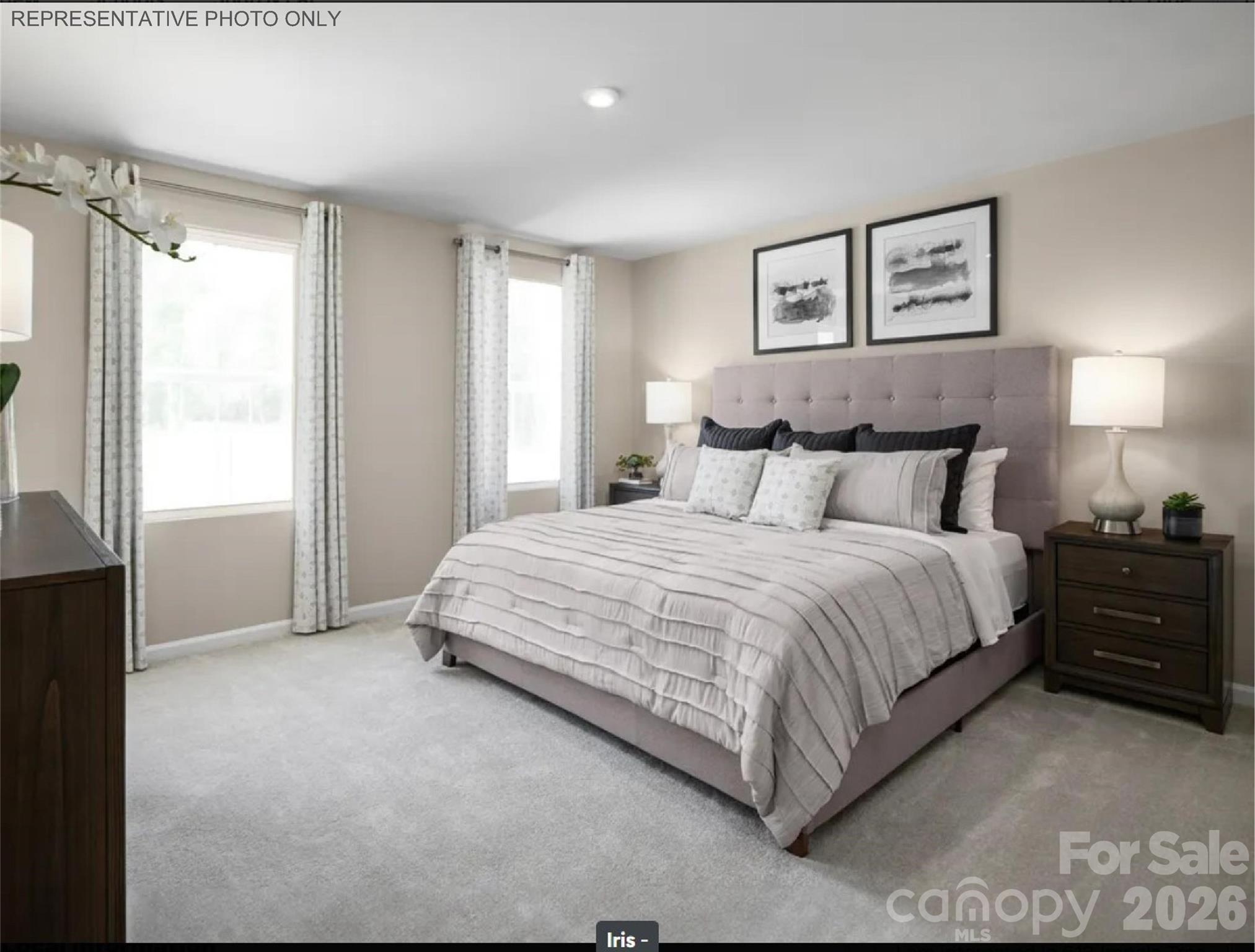 5313 McCallum Meadows Drive — Charlotte