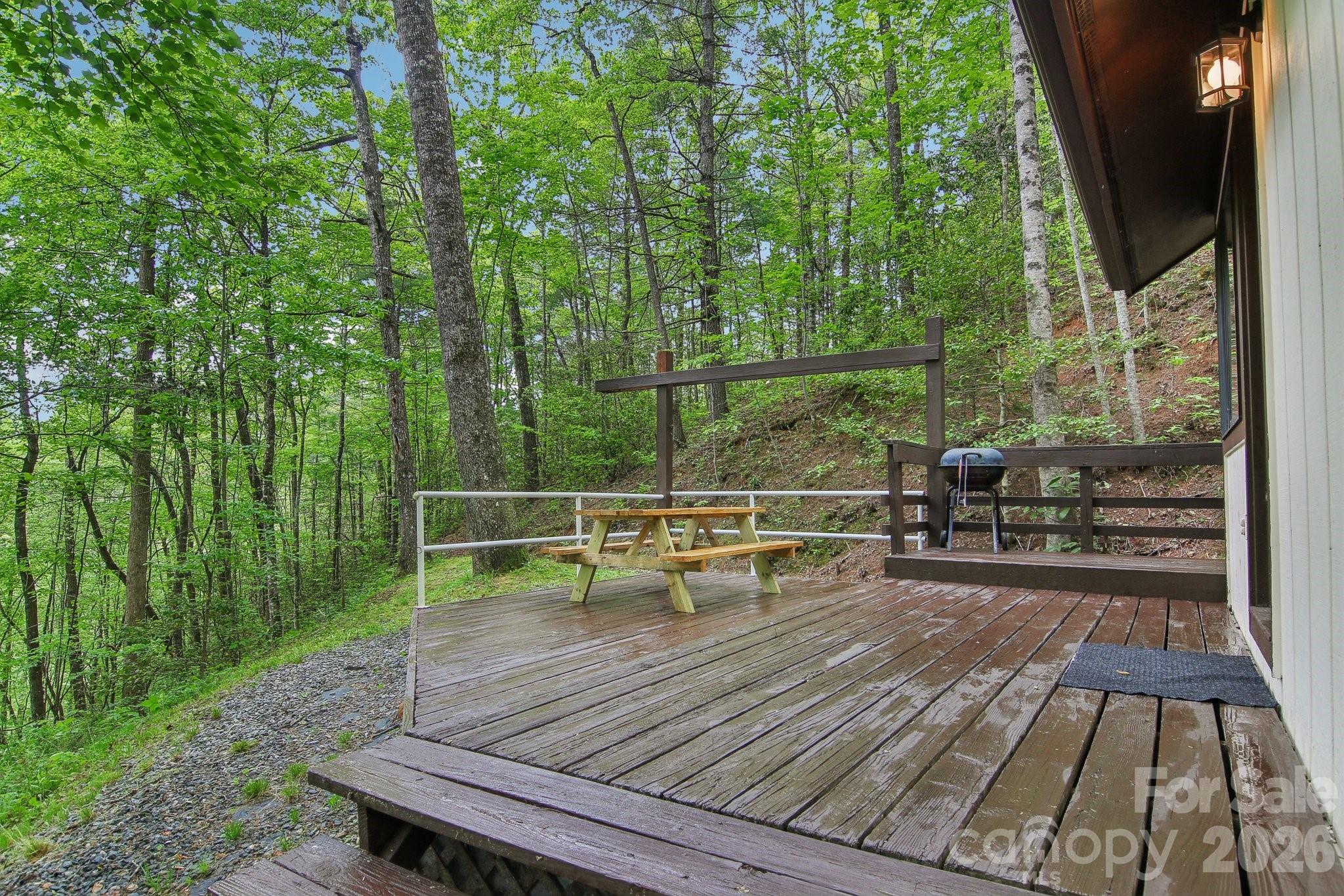 291 Dills Road — Bryson City