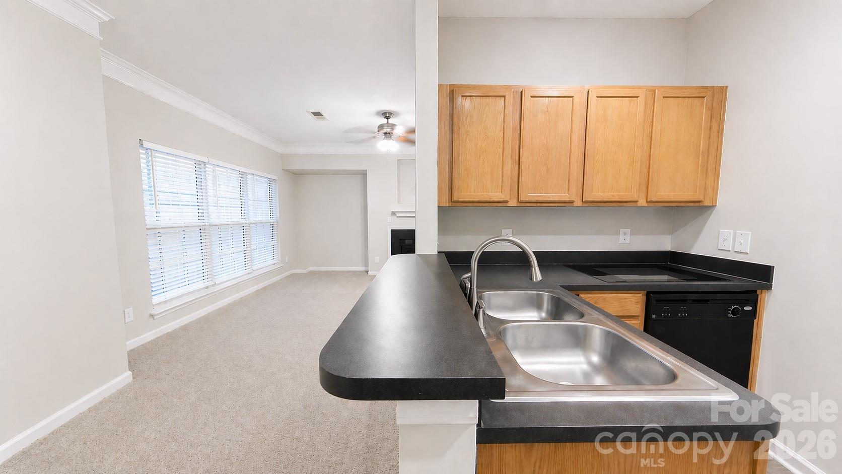 6525 Quarterbridge Lane — Charlotte