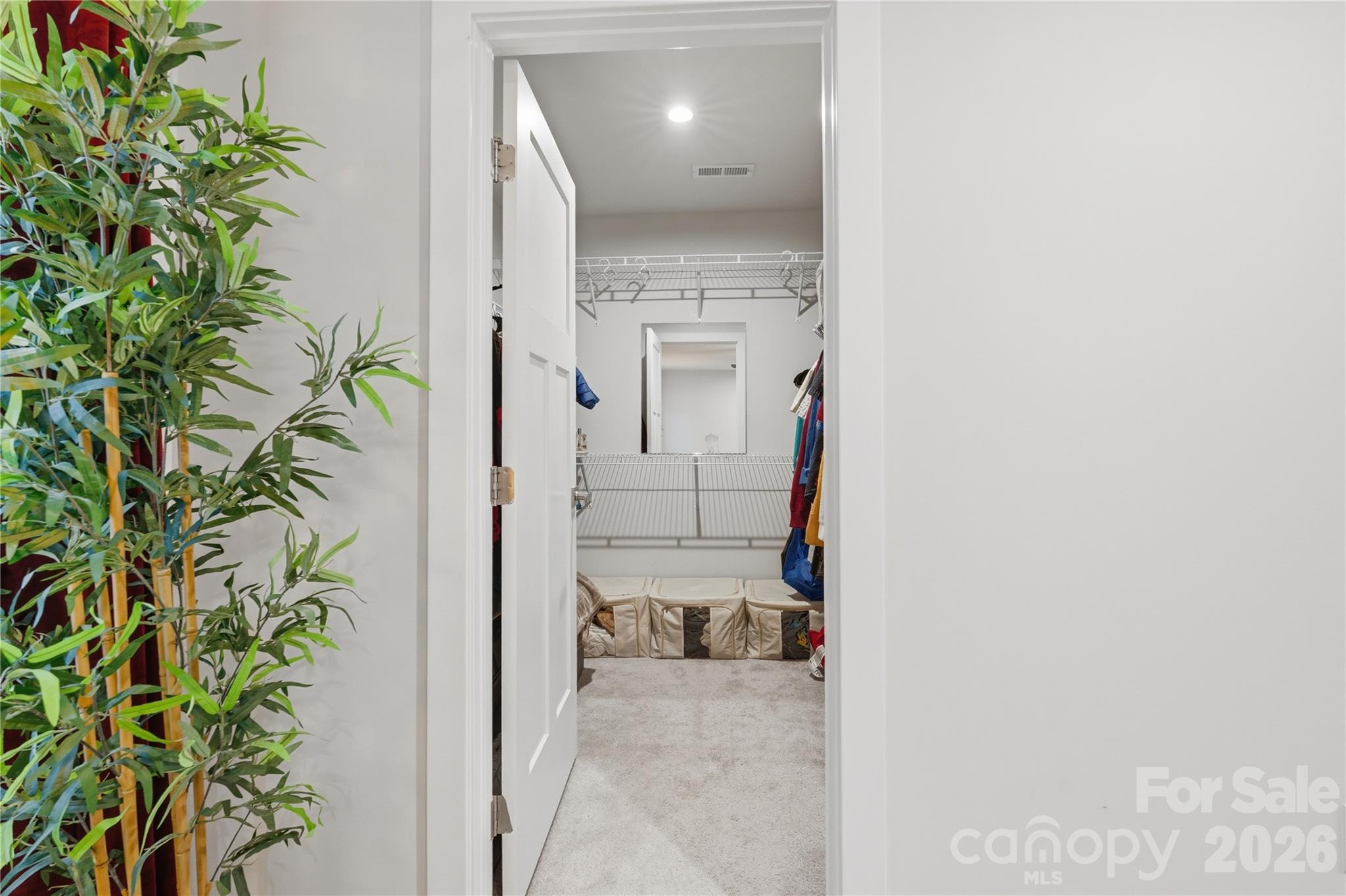 10158 Paper Birch Drive — Charlotte