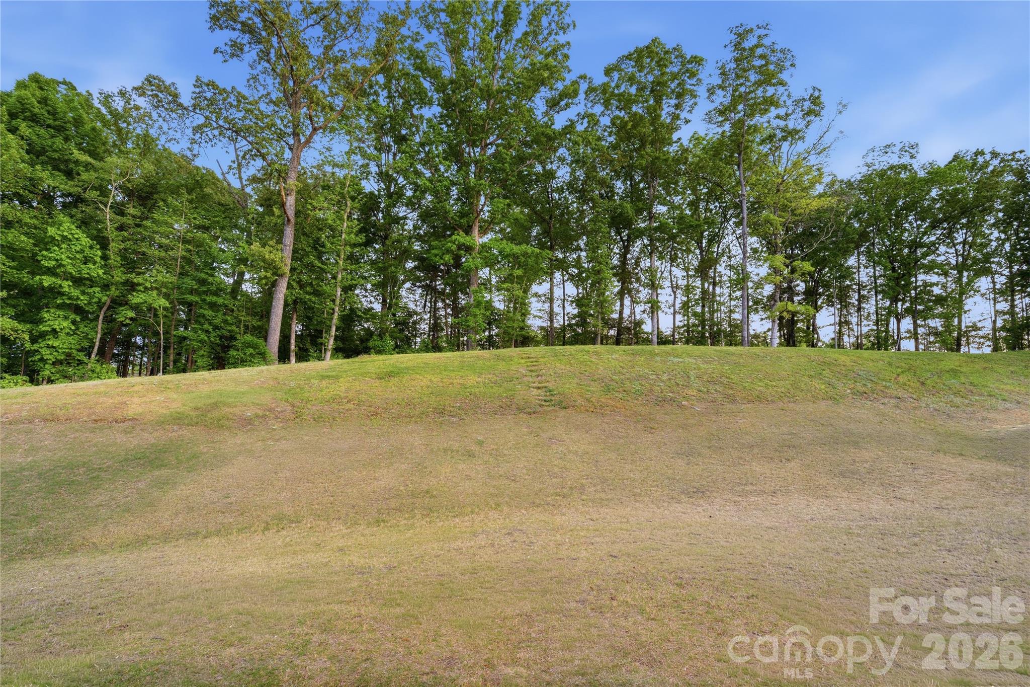 10158 Paper Birch Drive — Charlotte