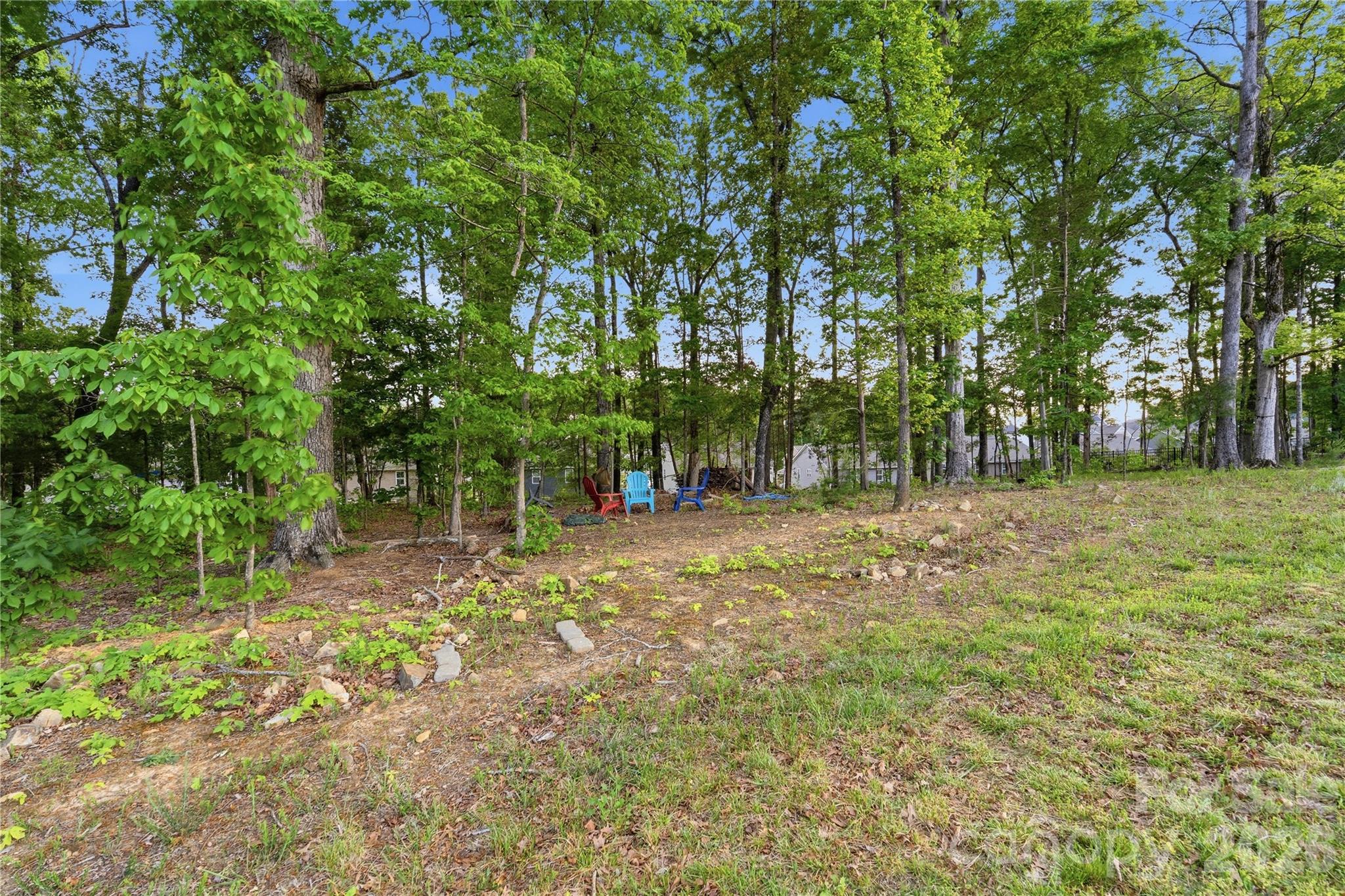 10158 Paper Birch Drive — Charlotte