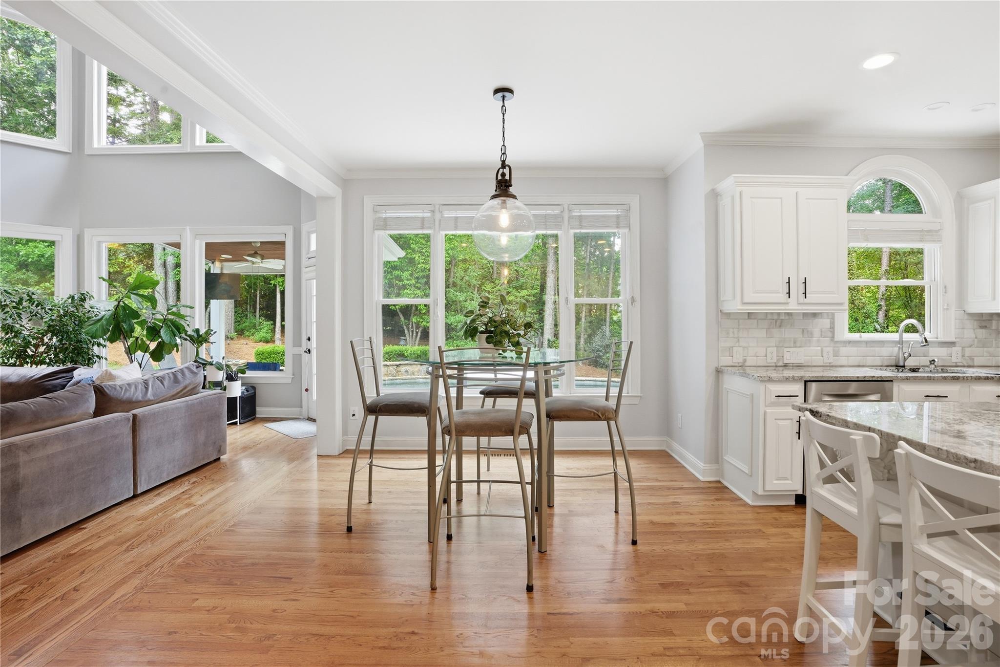 16219 Millsford Court — Charlotte