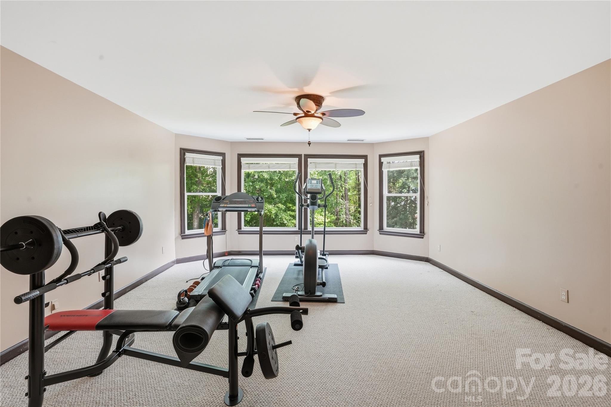 16219 Millsford Court — Charlotte