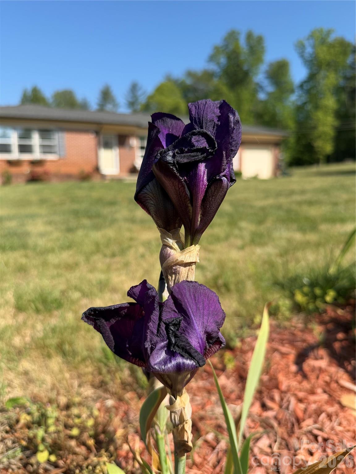 3162/3164/3168 Morganton Boulevard SW — Lenoir