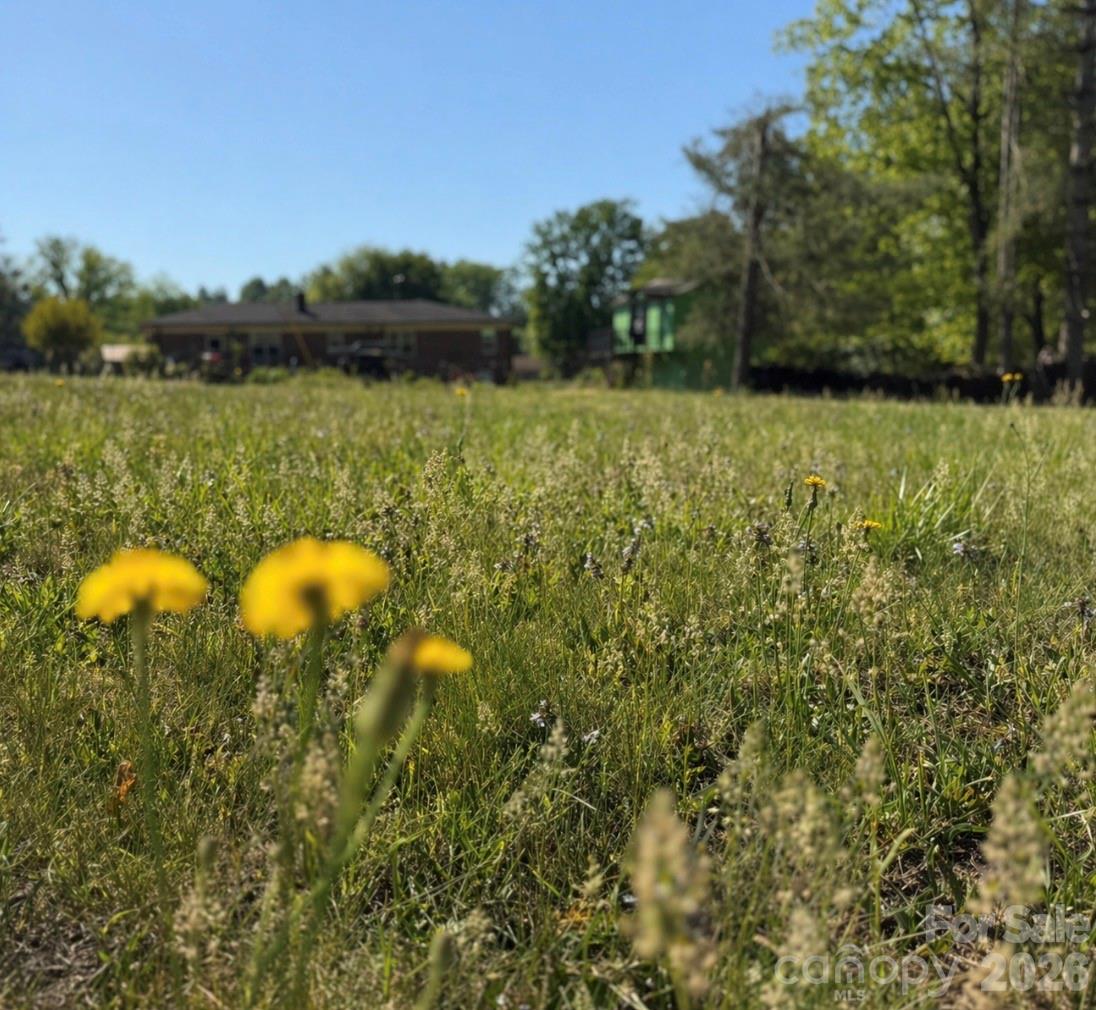3162/3164/3168 Morganton Boulevard SW — Lenoir