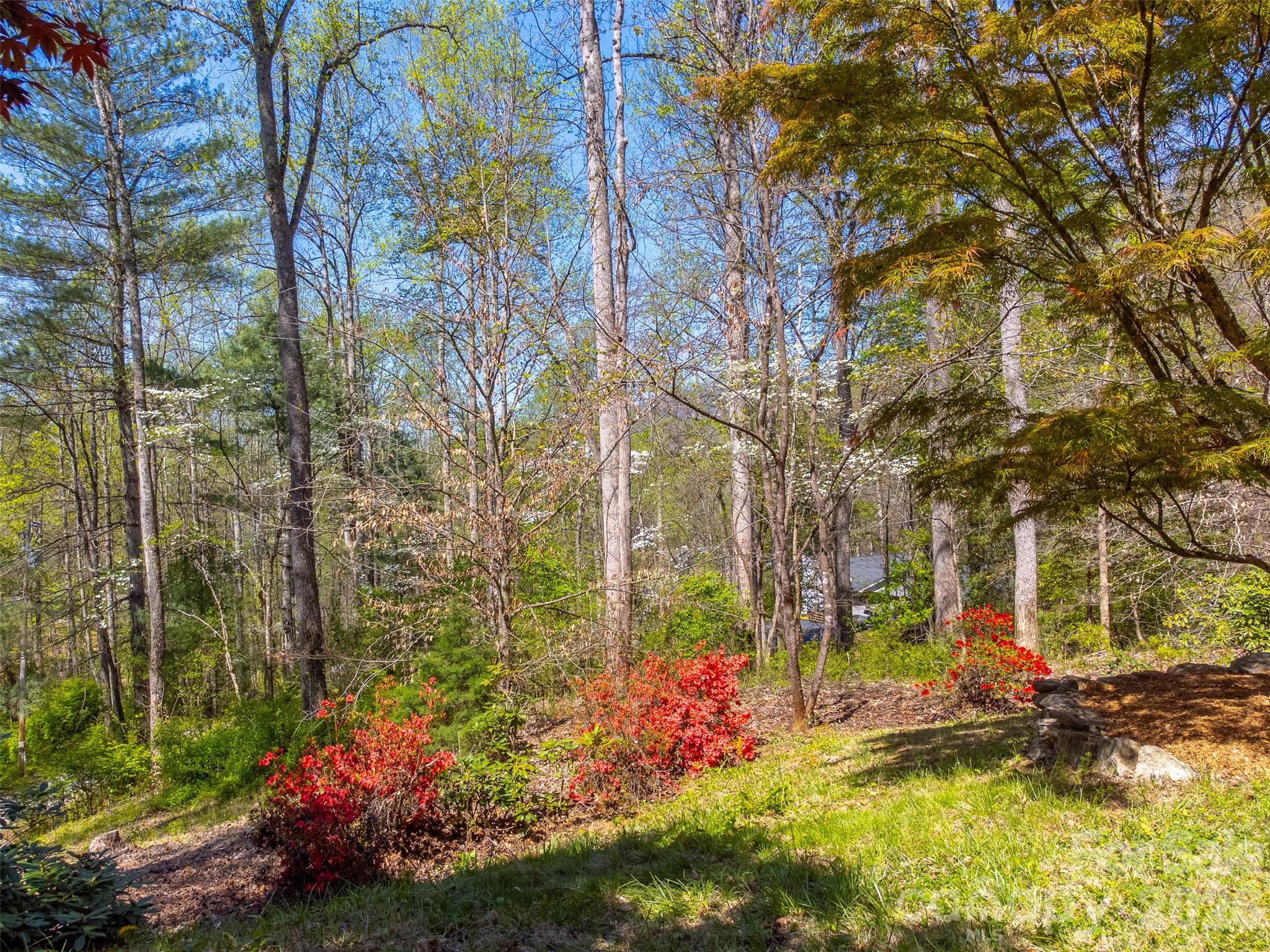 605 Toy Cove Road — Sylva
