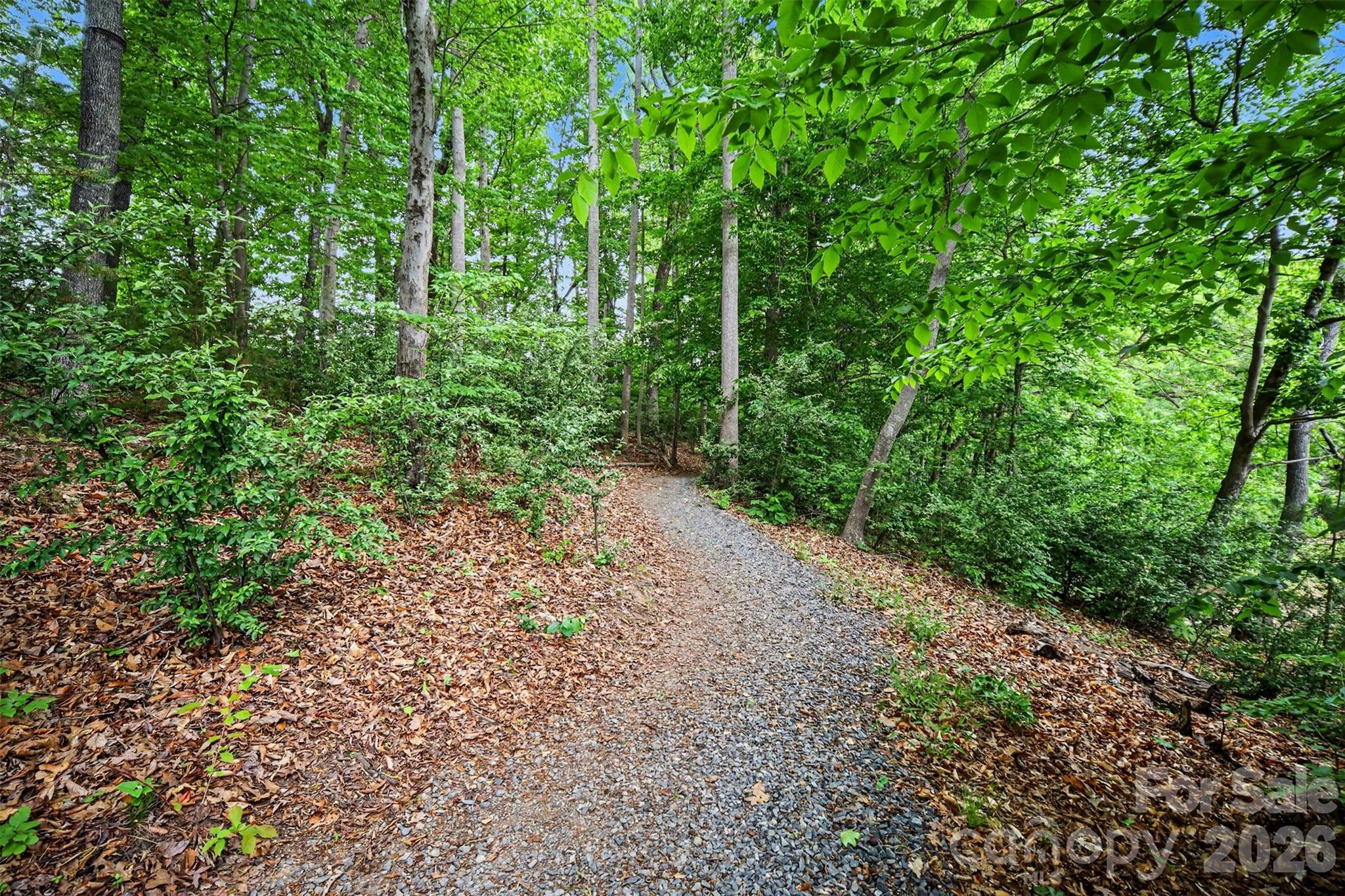 6043 Jepson Court — Charlotte