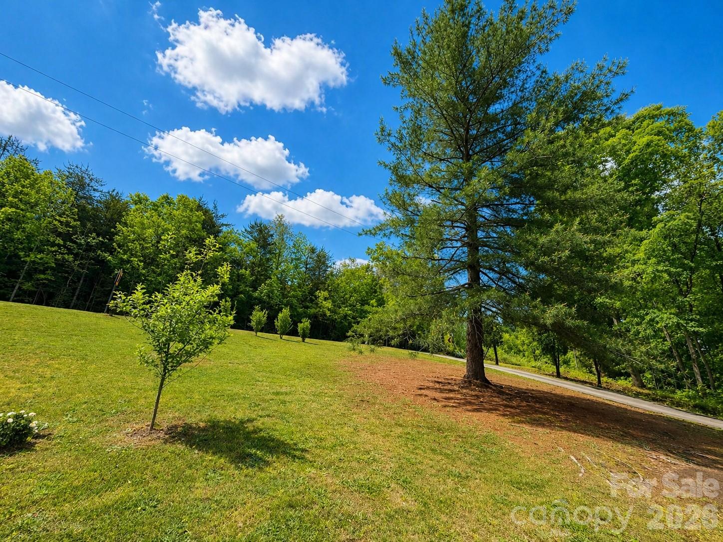 161 Press Sweezy Road — Kings Mountain