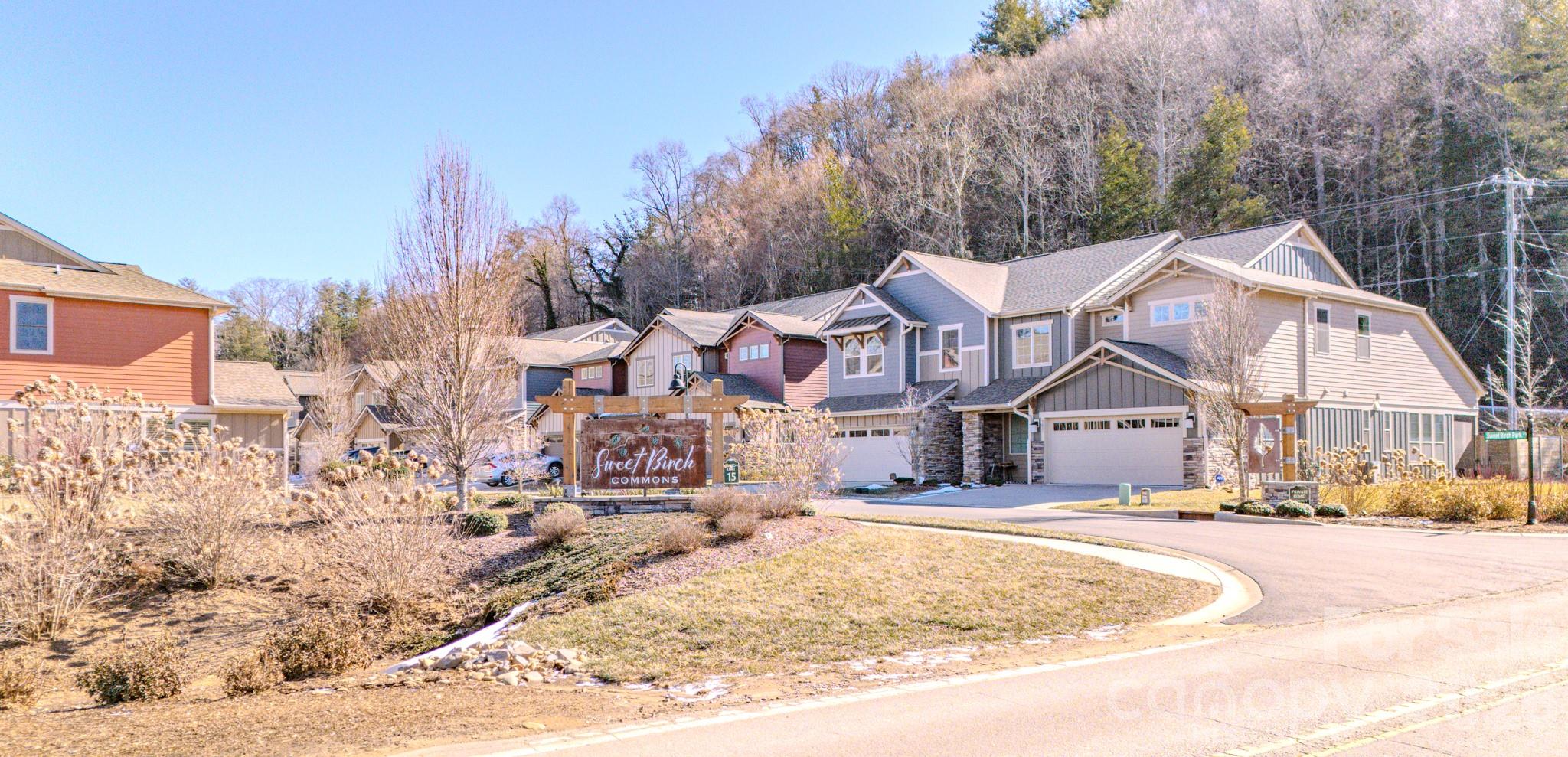560 Sweet Birch Park Lane — Black Mountain