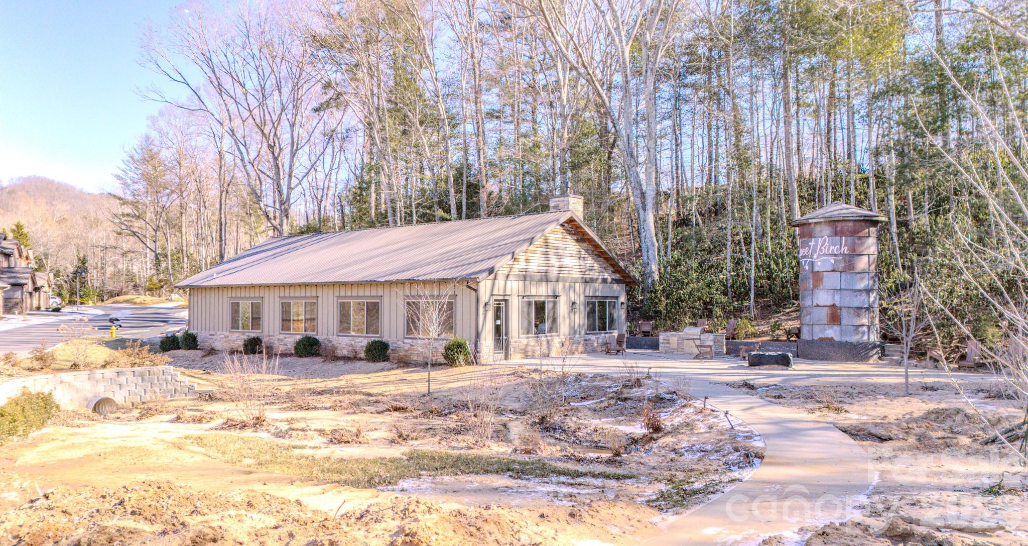 560 Sweet Birch Park Lane — Black Mountain