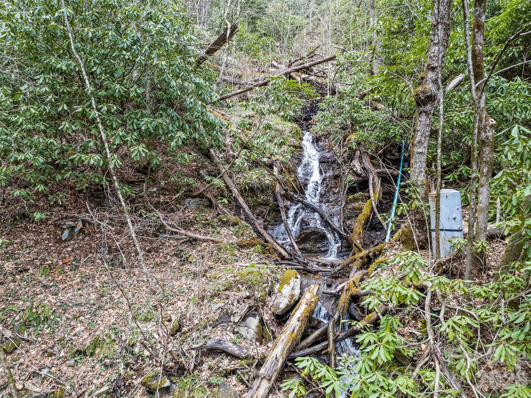 57 Grosbeak Trail — Sylva