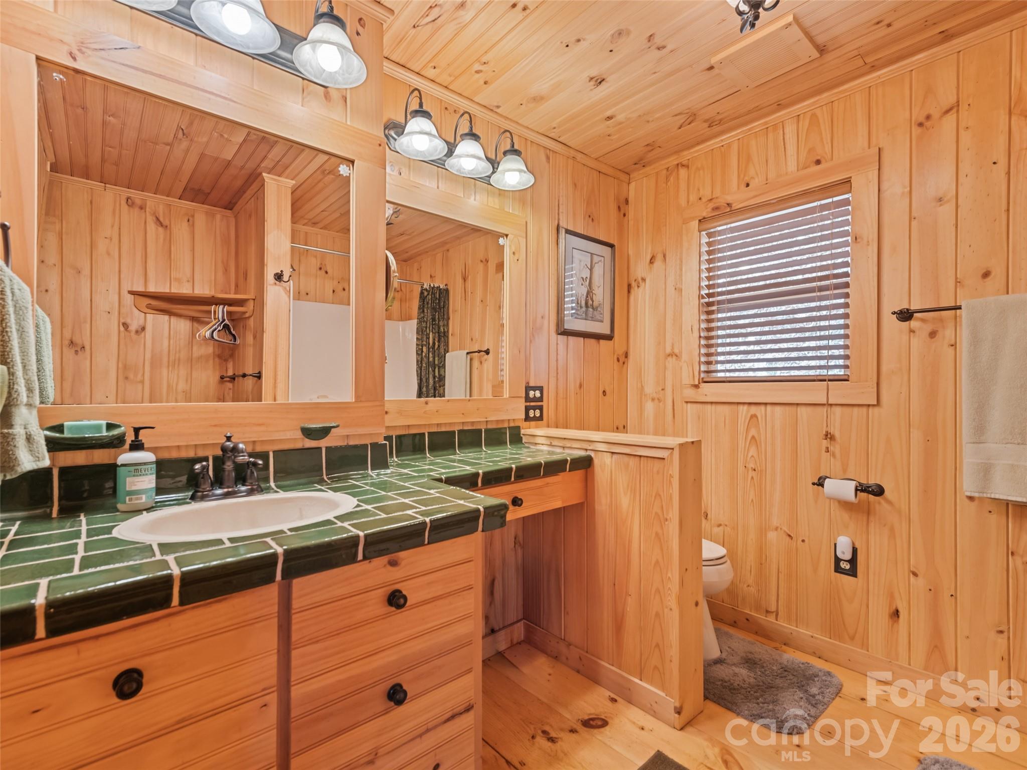 57 Grosbeak Trail — Sylva