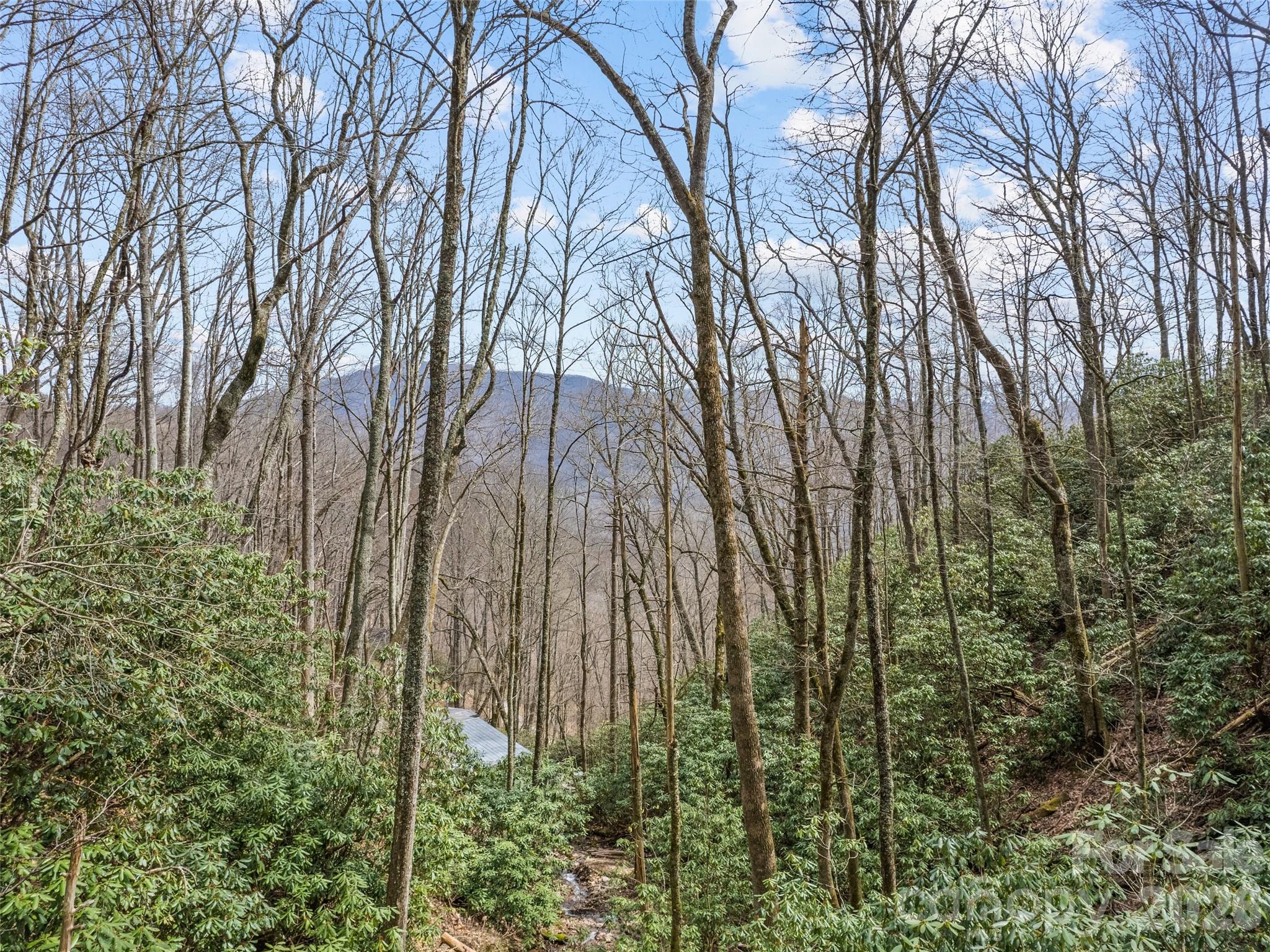 57 Grosbeak Trail — Sylva
