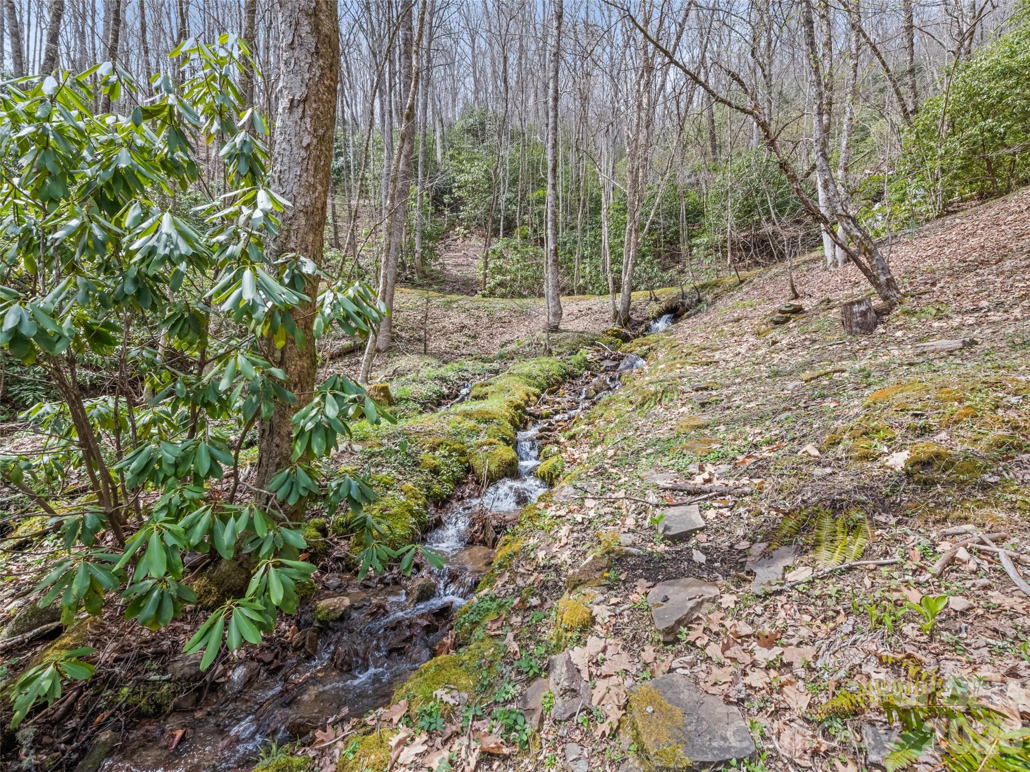 57 Grosbeak Trail — Sylva