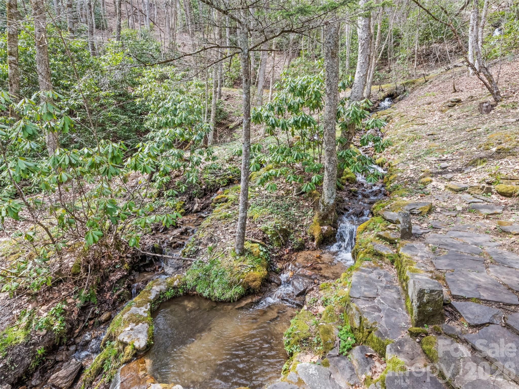 57 Grosbeak Trail — Sylva