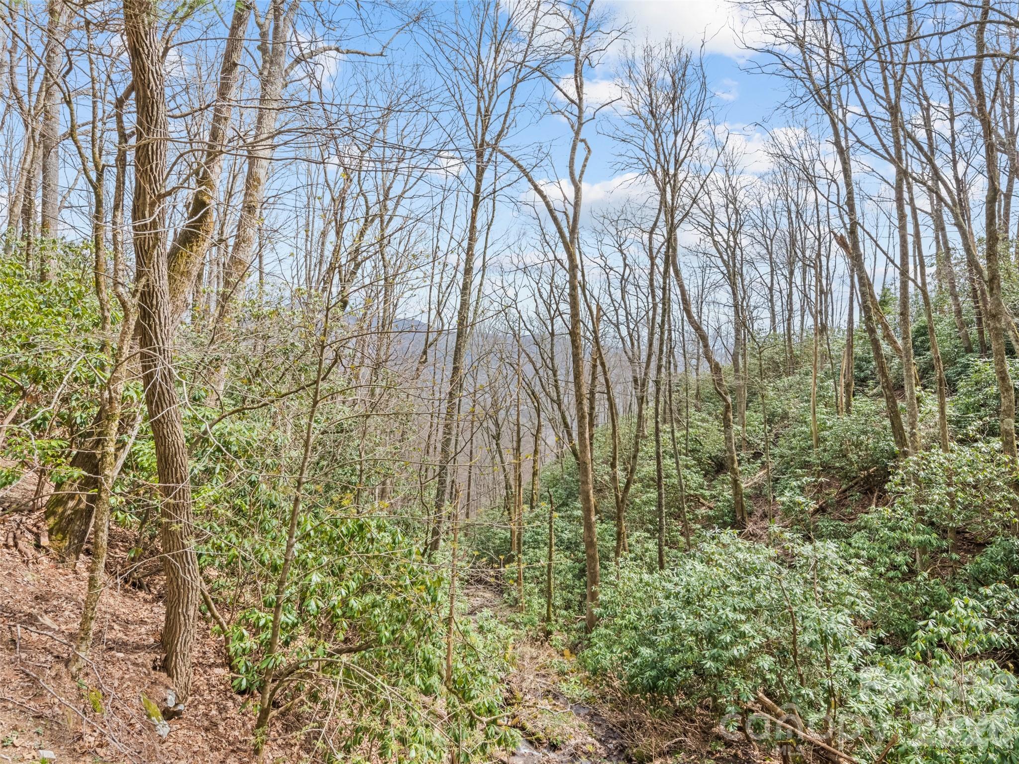 57 Grosbeak Trail — Sylva