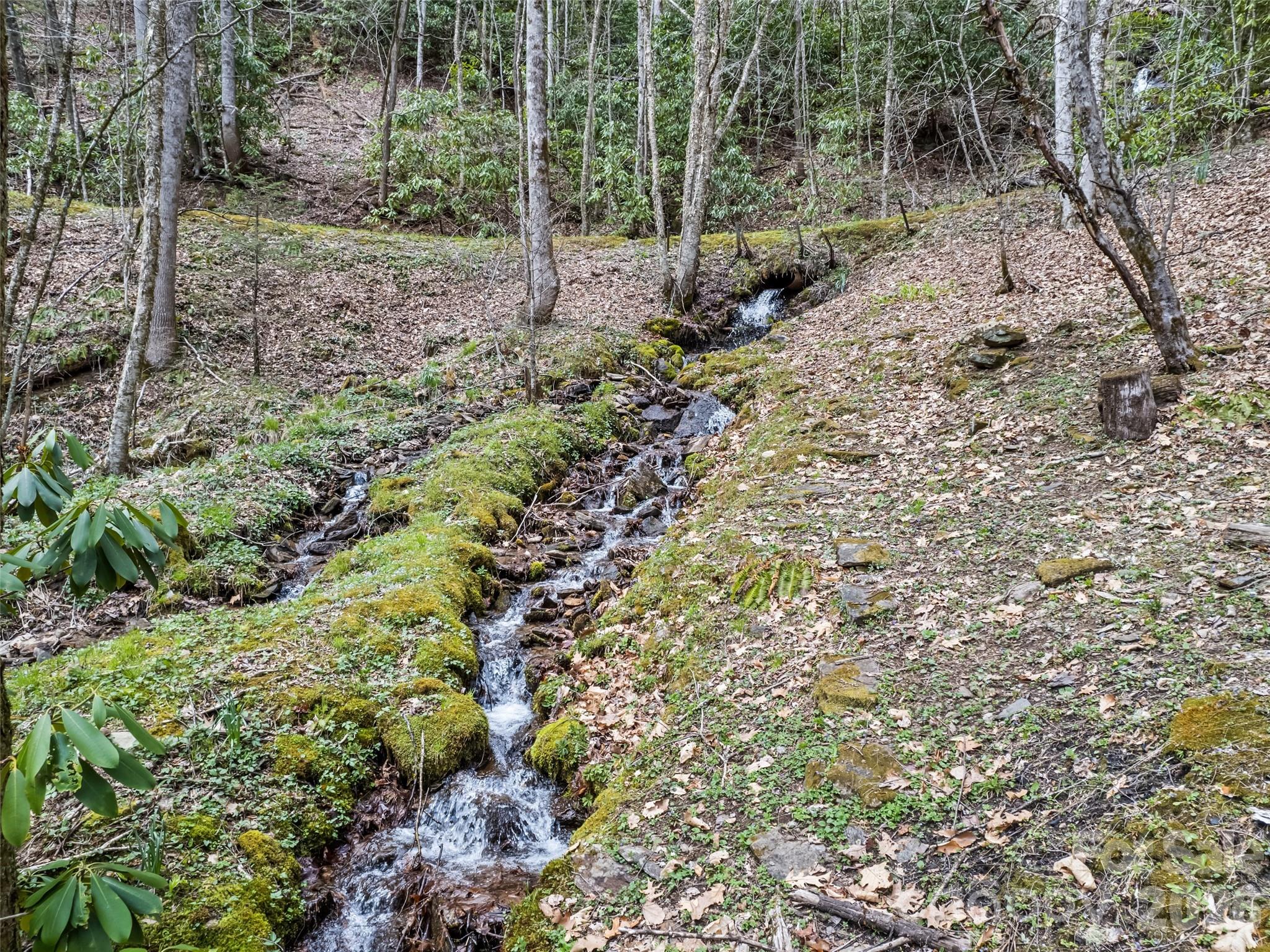 57 Grosbeak Trail — Sylva