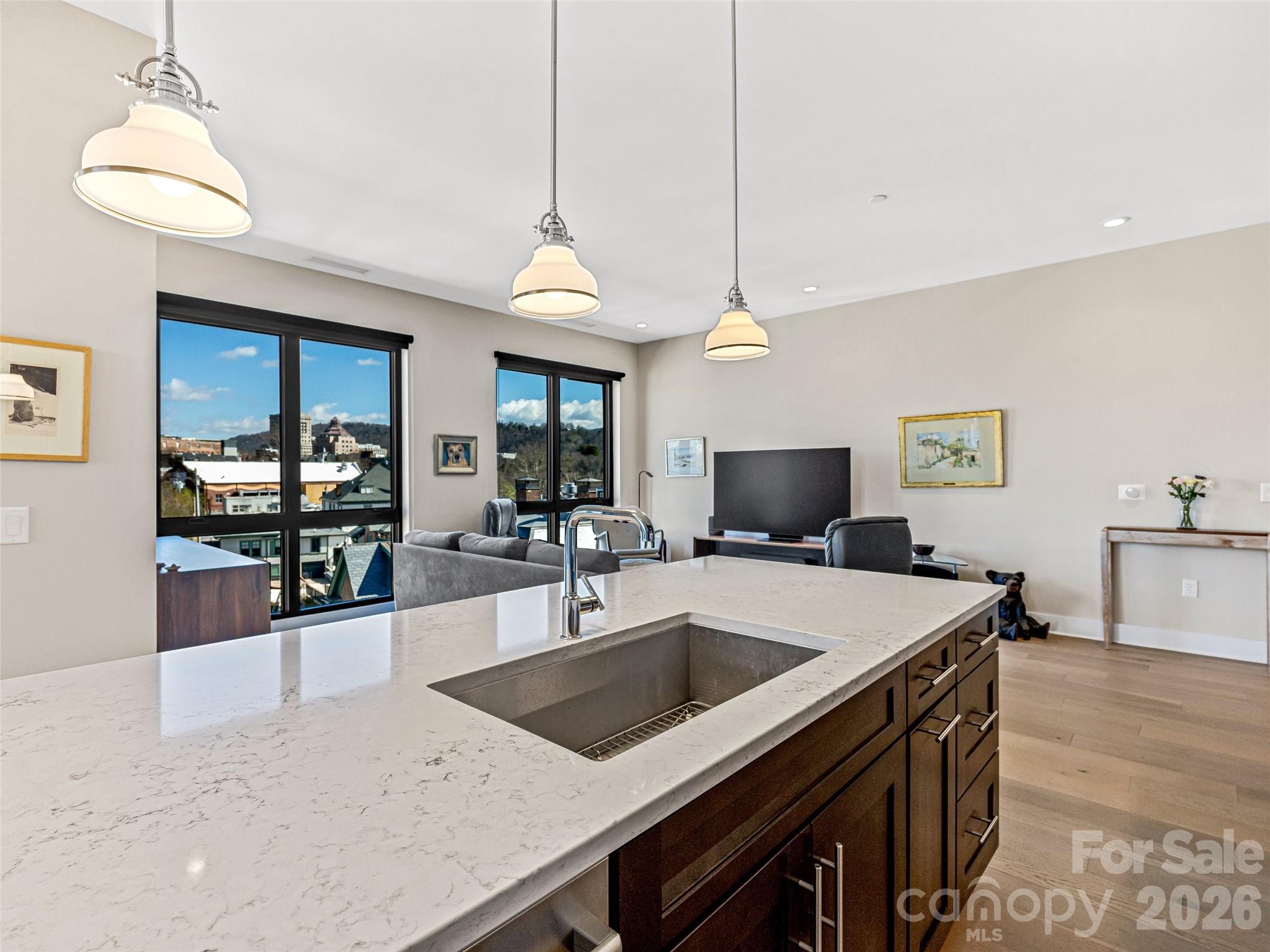 145 Biltmore Avenue #602 — Asheville