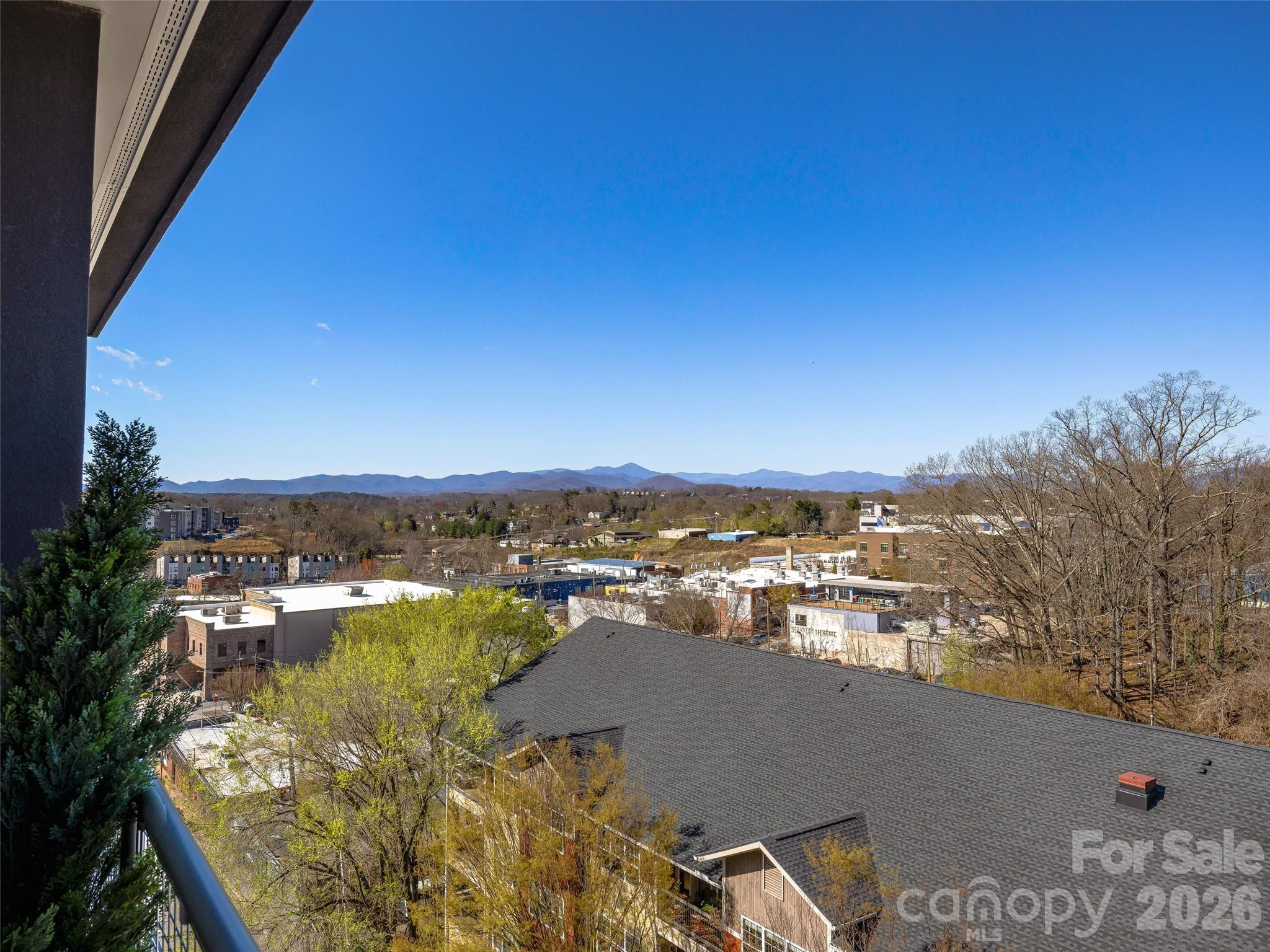 145 Biltmore Avenue #602 — Asheville