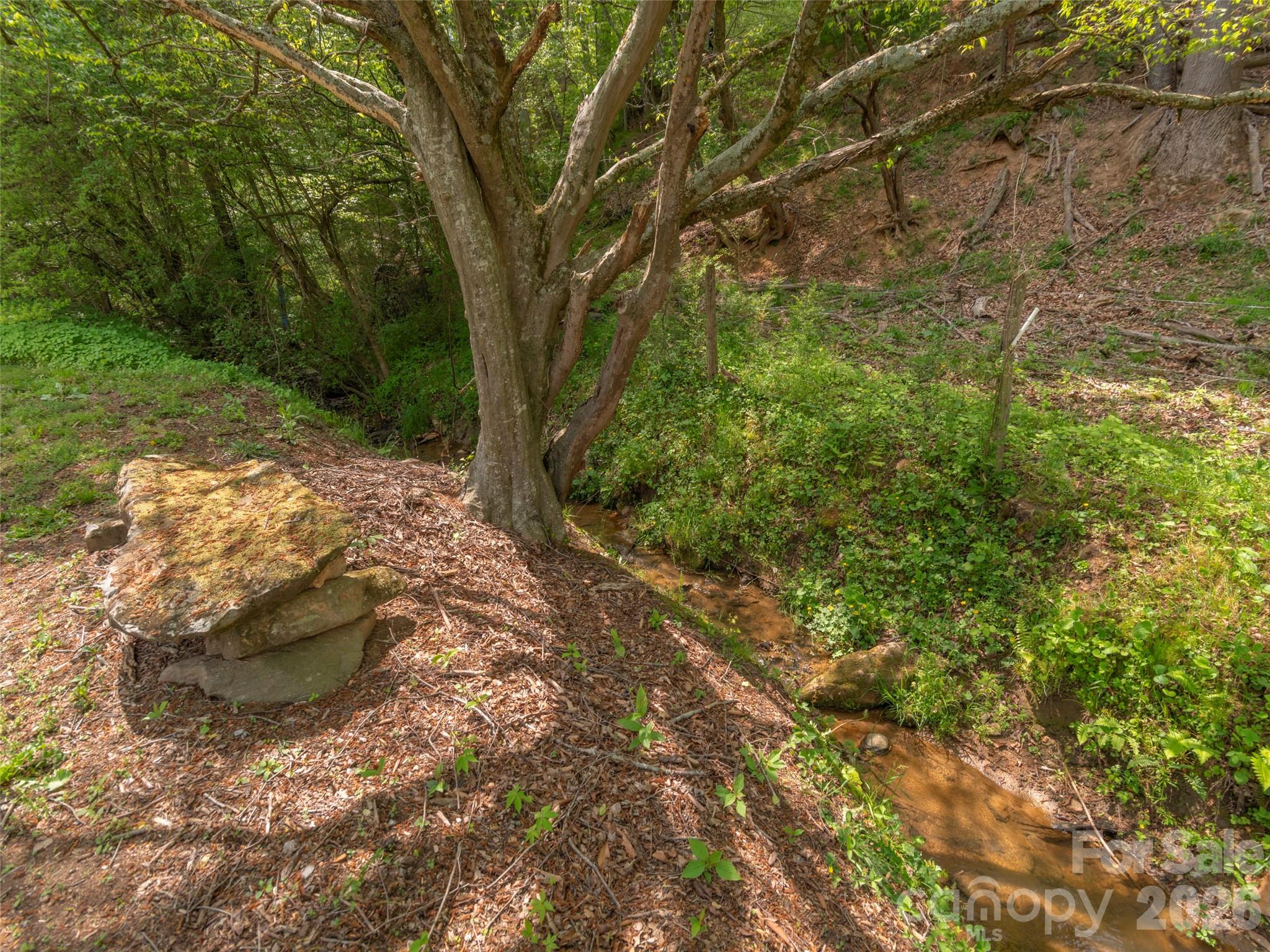 115 Gardening Frog Trail — Waynesville