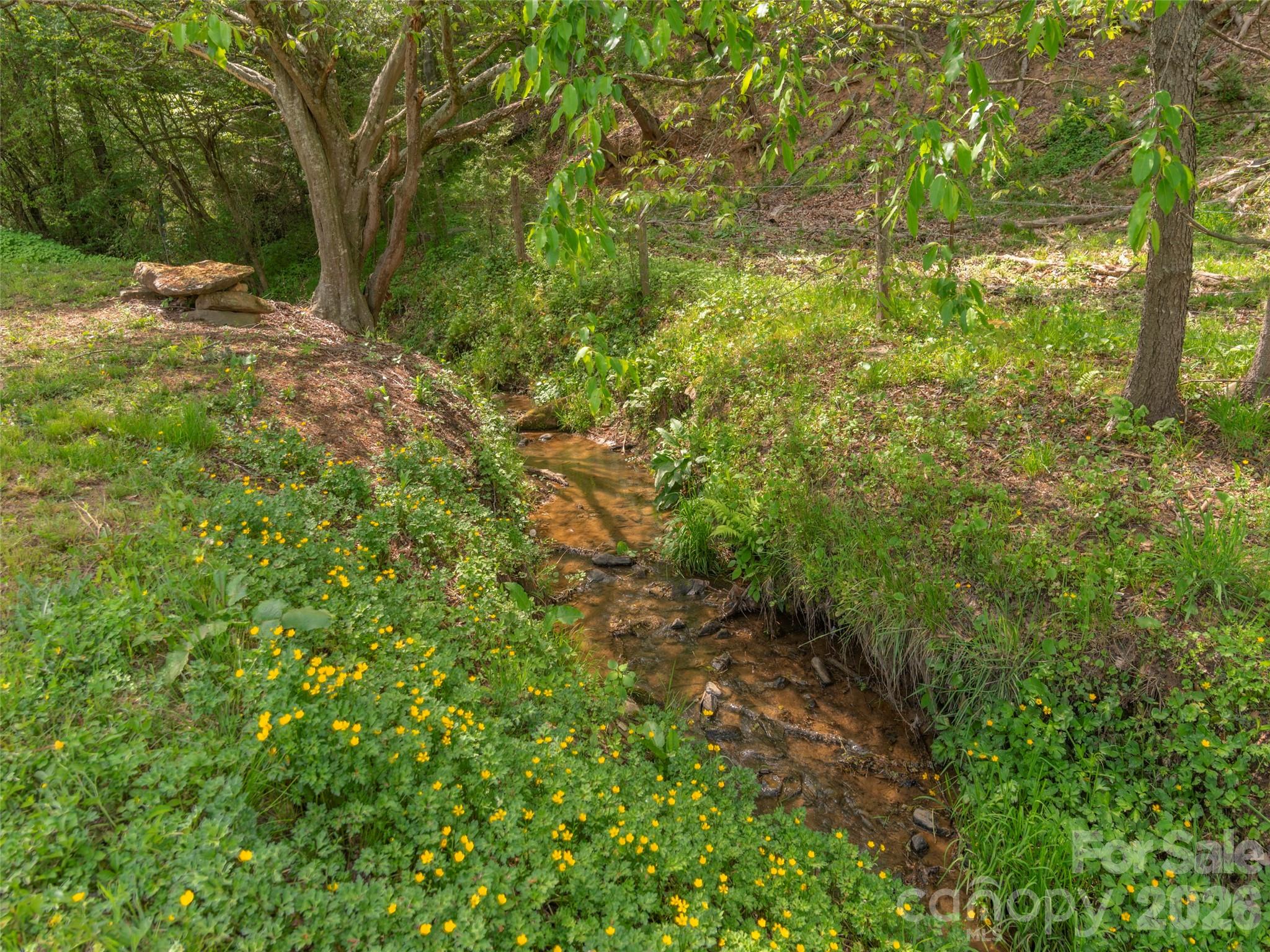 115 Gardening Frog Trail — Waynesville