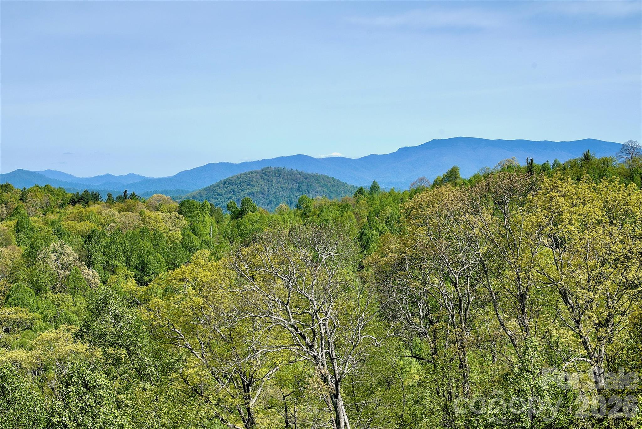 551 Carvers Knob Road — Spruce Pine