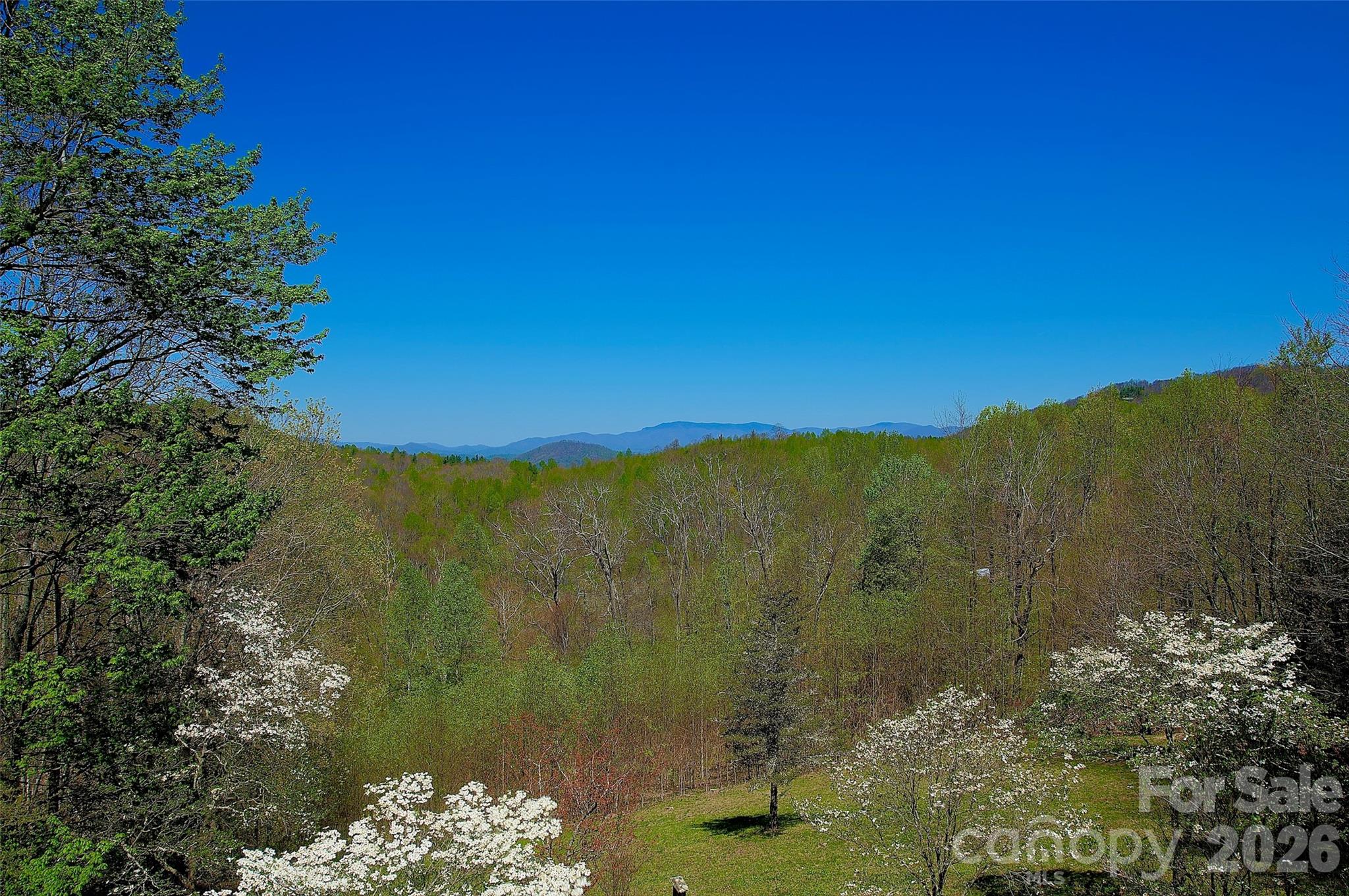 551 Carvers Knob Road — Spruce Pine