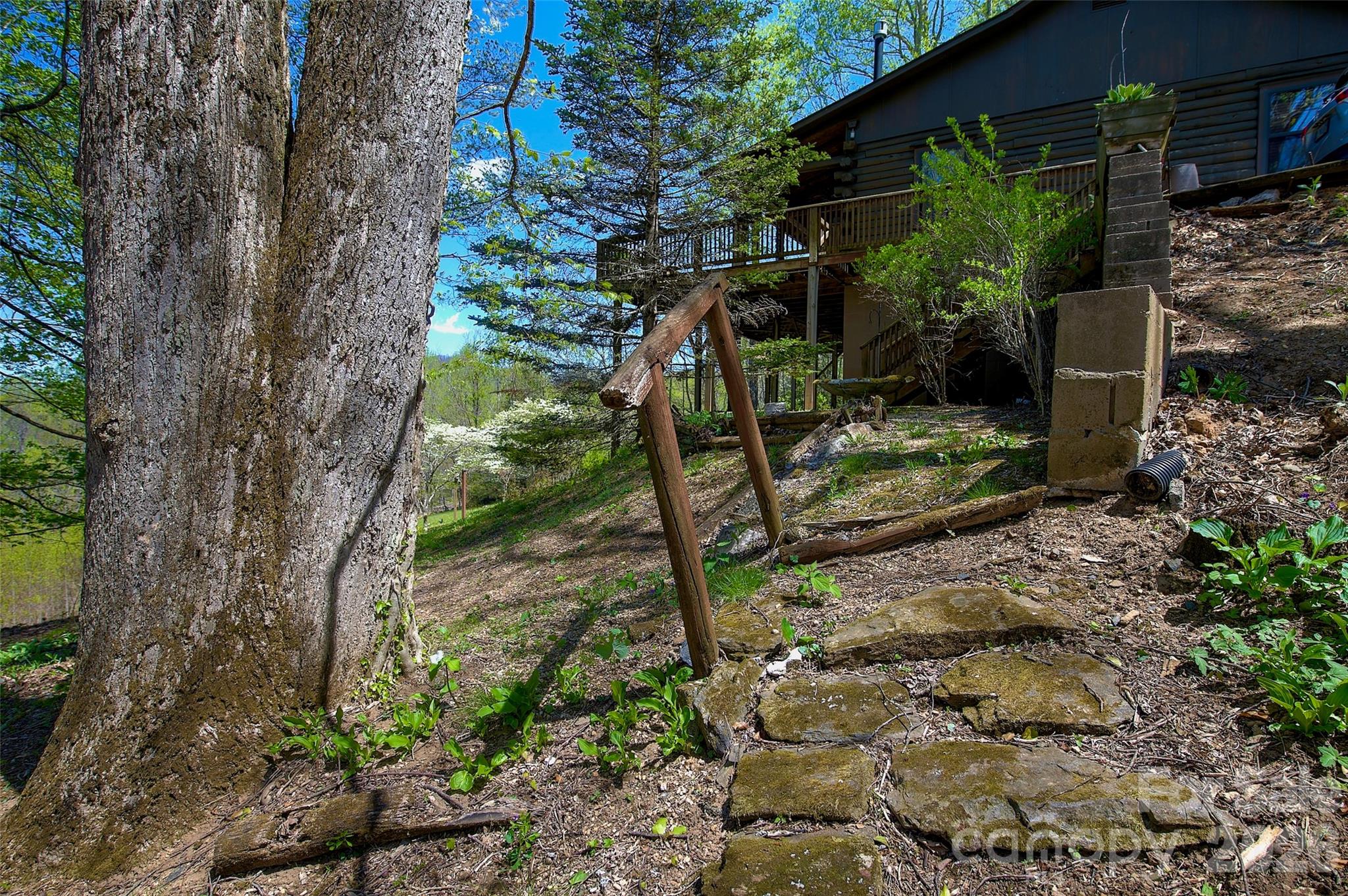 551 Carvers Knob Road — Spruce Pine