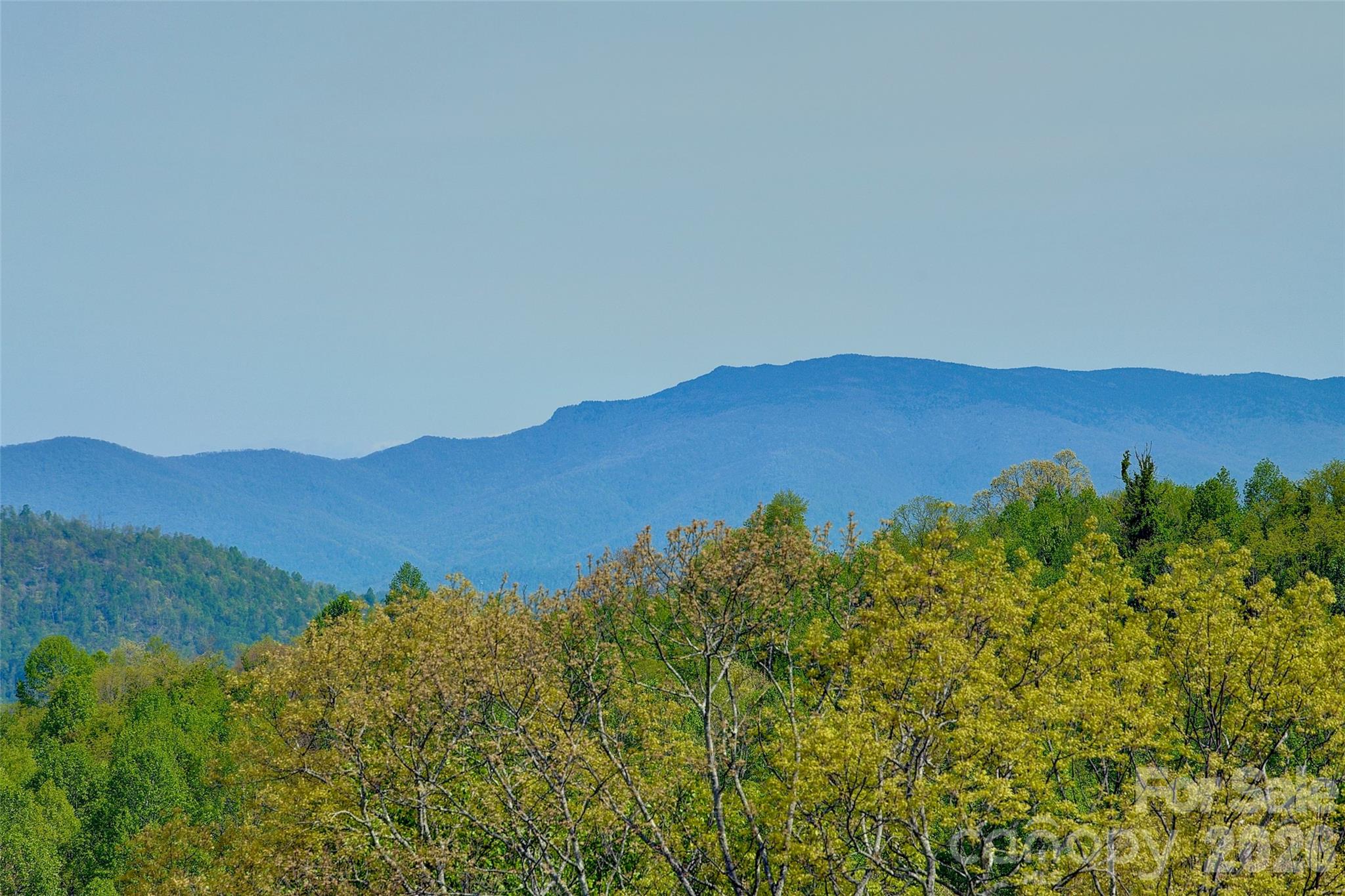 551 Carvers Knob Road — Spruce Pine