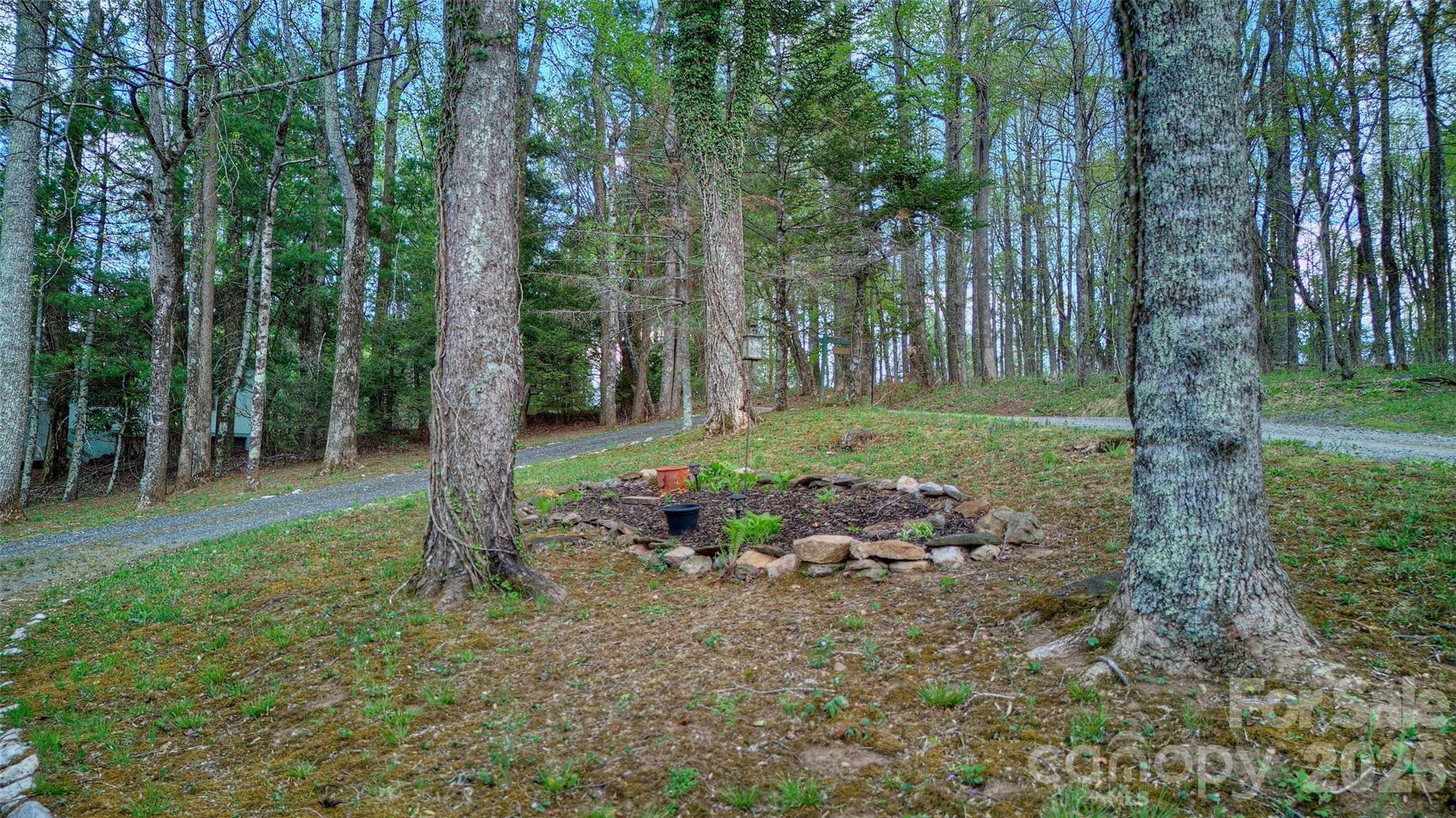 551 Carvers Knob Road — Spruce Pine