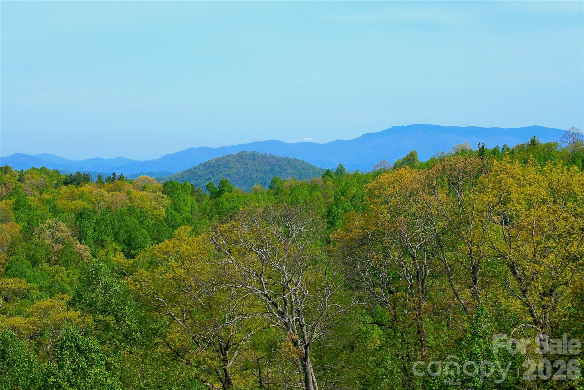 551 Carvers Knob Road — Spruce Pine