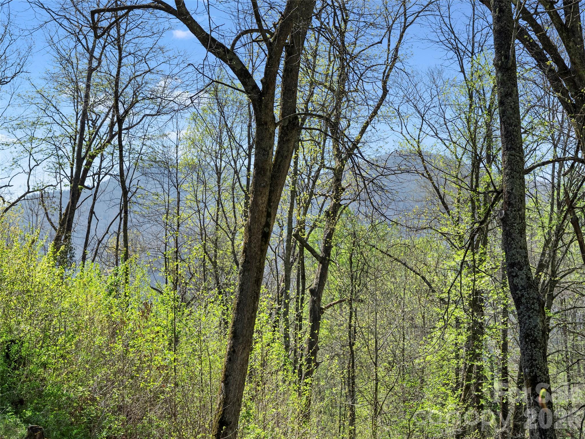 79 Ward Road — Maggie Valley
