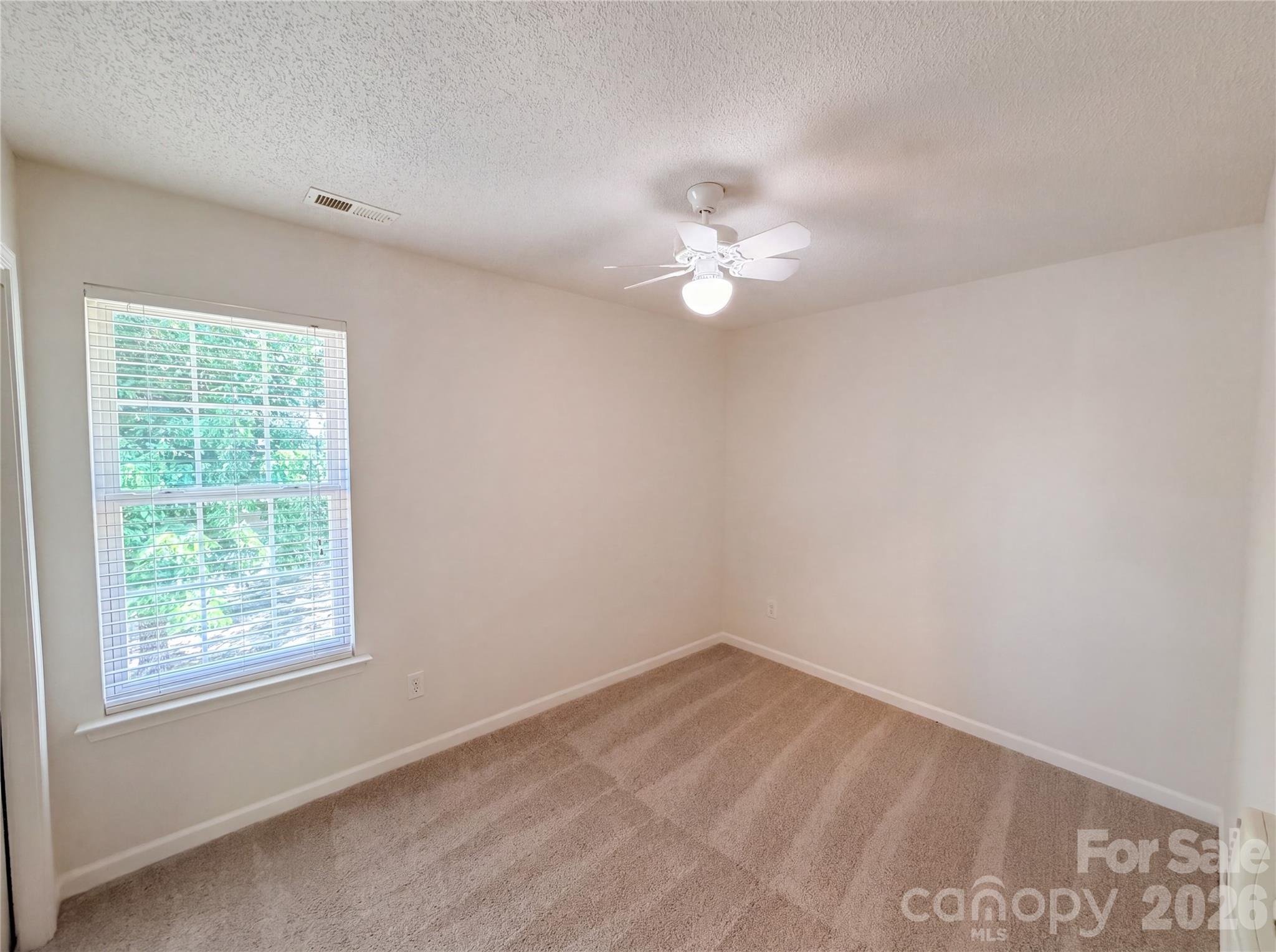 10009 Wild Dogwood Court — Charlotte