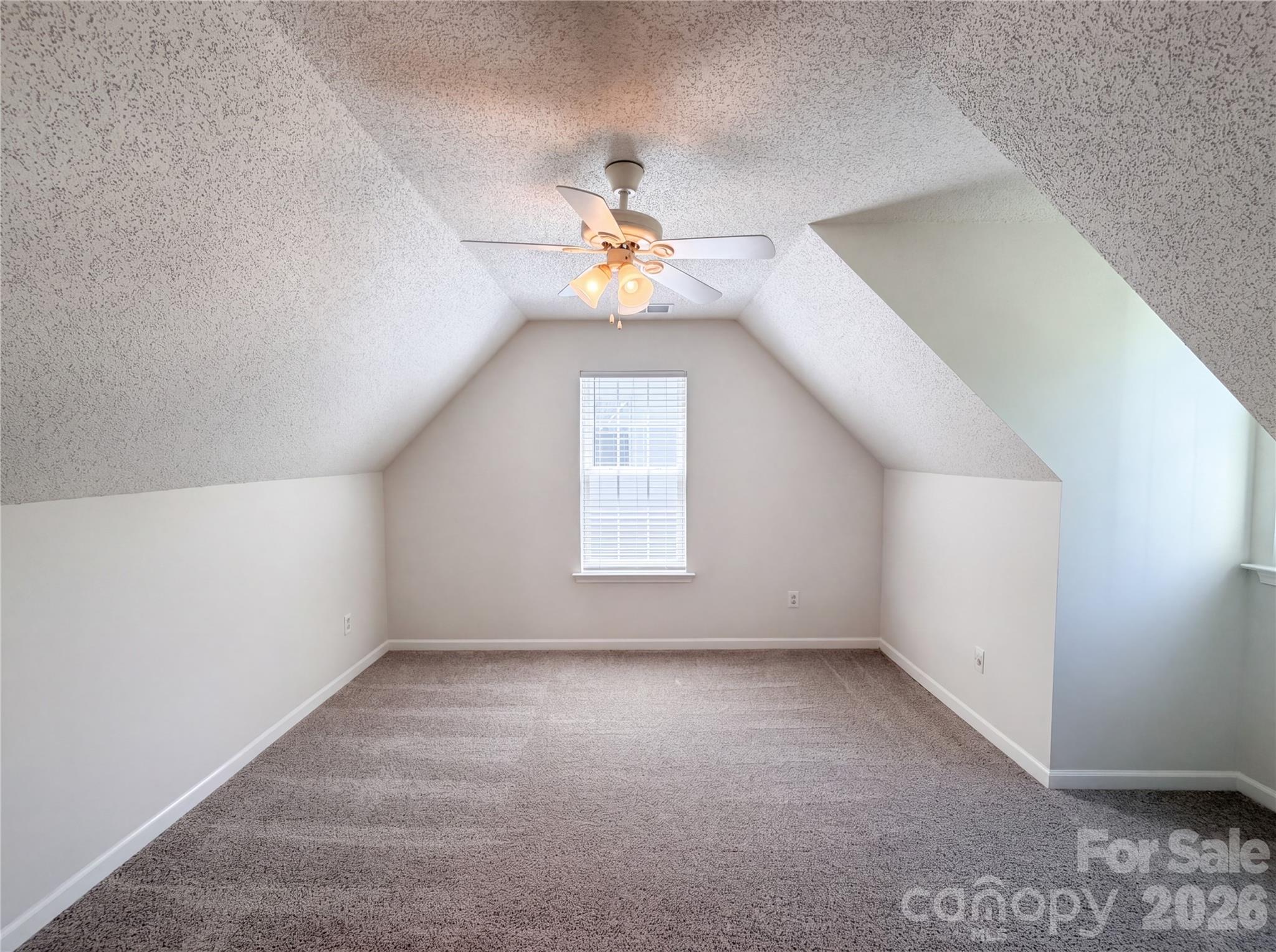 10009 Wild Dogwood Court — Charlotte