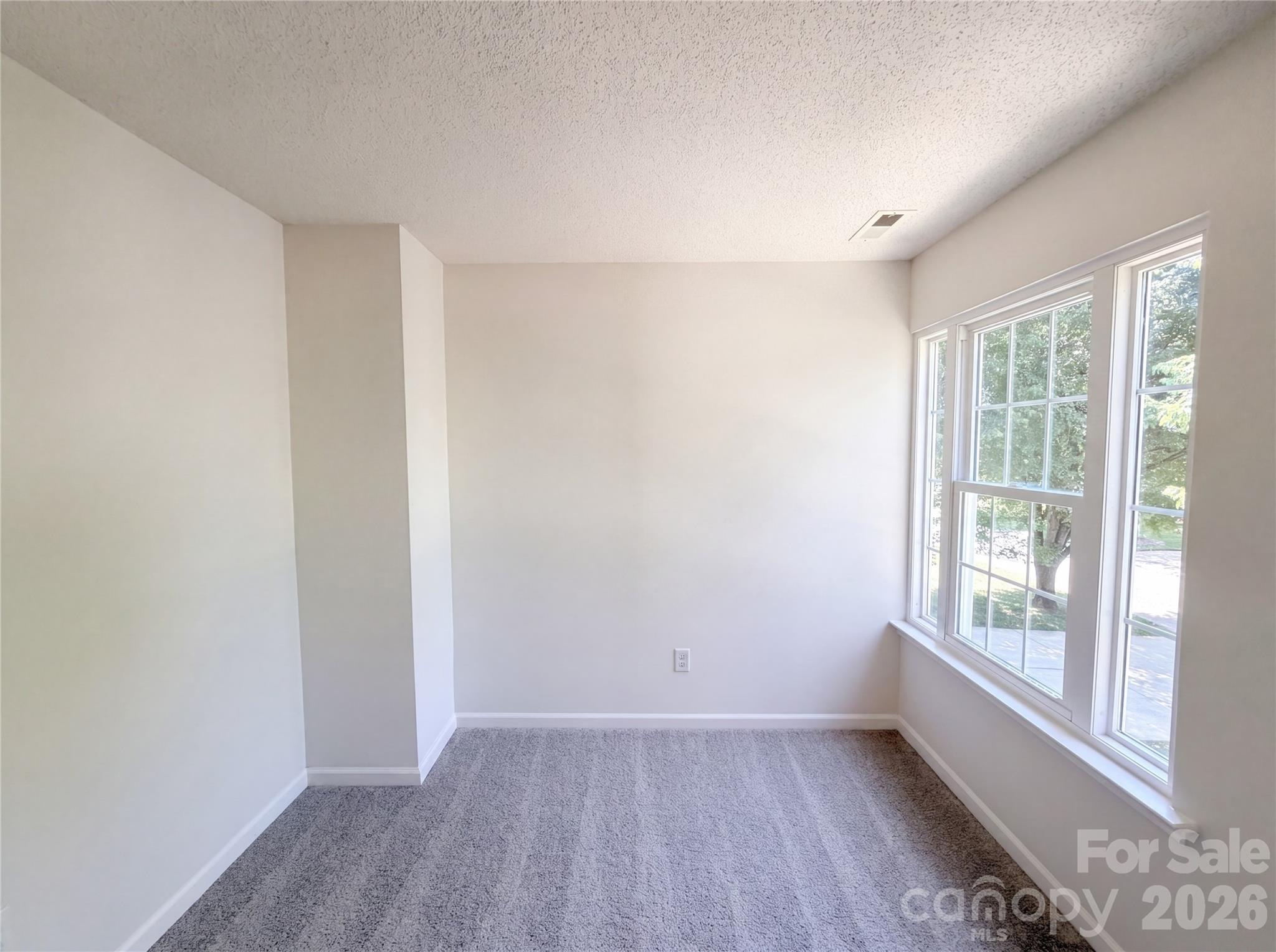 10009 Wild Dogwood Court — Charlotte