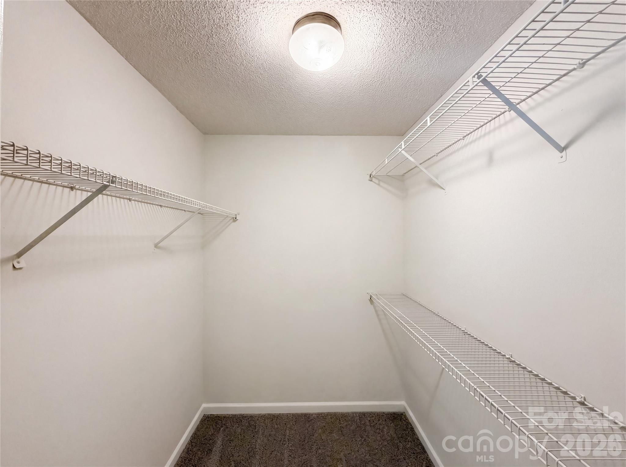 10009 Wild Dogwood Court — Charlotte